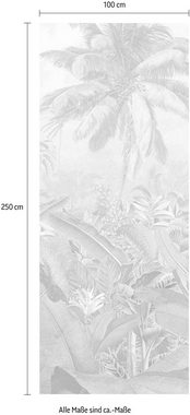 Komar Vliestapete Amazonia Black and White Panel, (1 St), 100x250 cm (Breite x Höhe), Vliestapete, 100 cm Bahnbreite