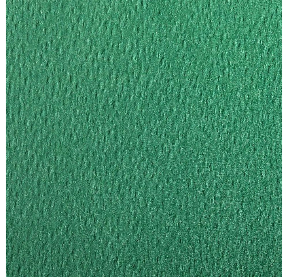 Thumbnail - CLAIREFONTAINE Zeichenpapier Zeichenpapier 50x65 cm 160g, Pack. 24 Bogen - Dunkelgrün 93778C, Bögen Clairefontaine