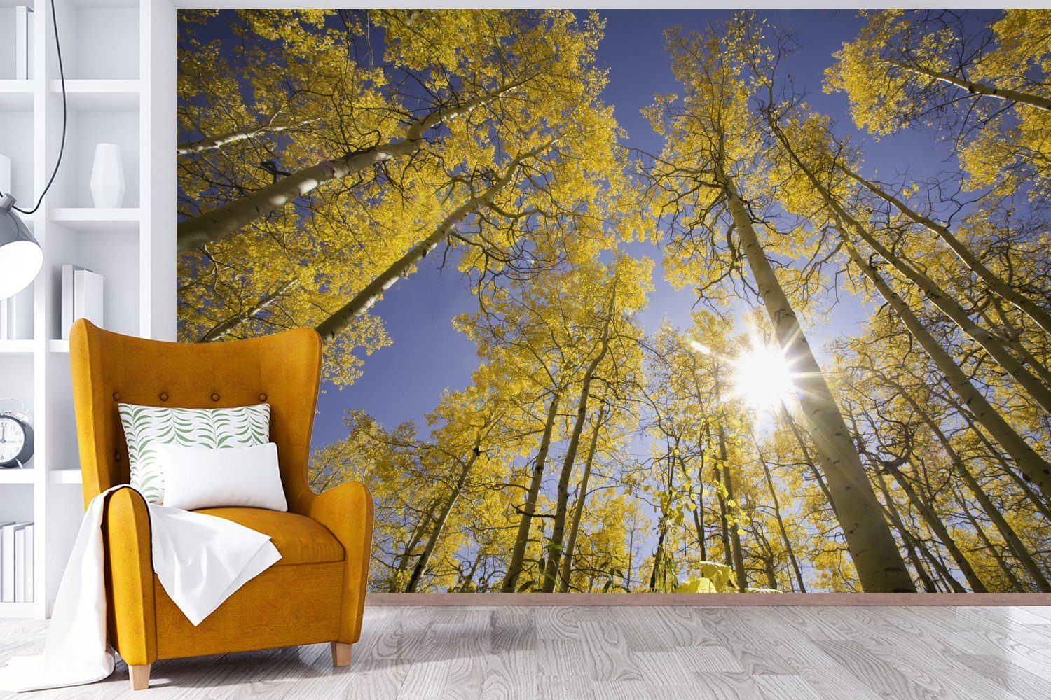 Wohnzimmer, (6 Matt, Vinyl - Fototapete St), Schlafzimmer, Himmel, MuchoWow Kinderzimmer, bedruckt, Tapete Wallpaper Sonne - Bäume für