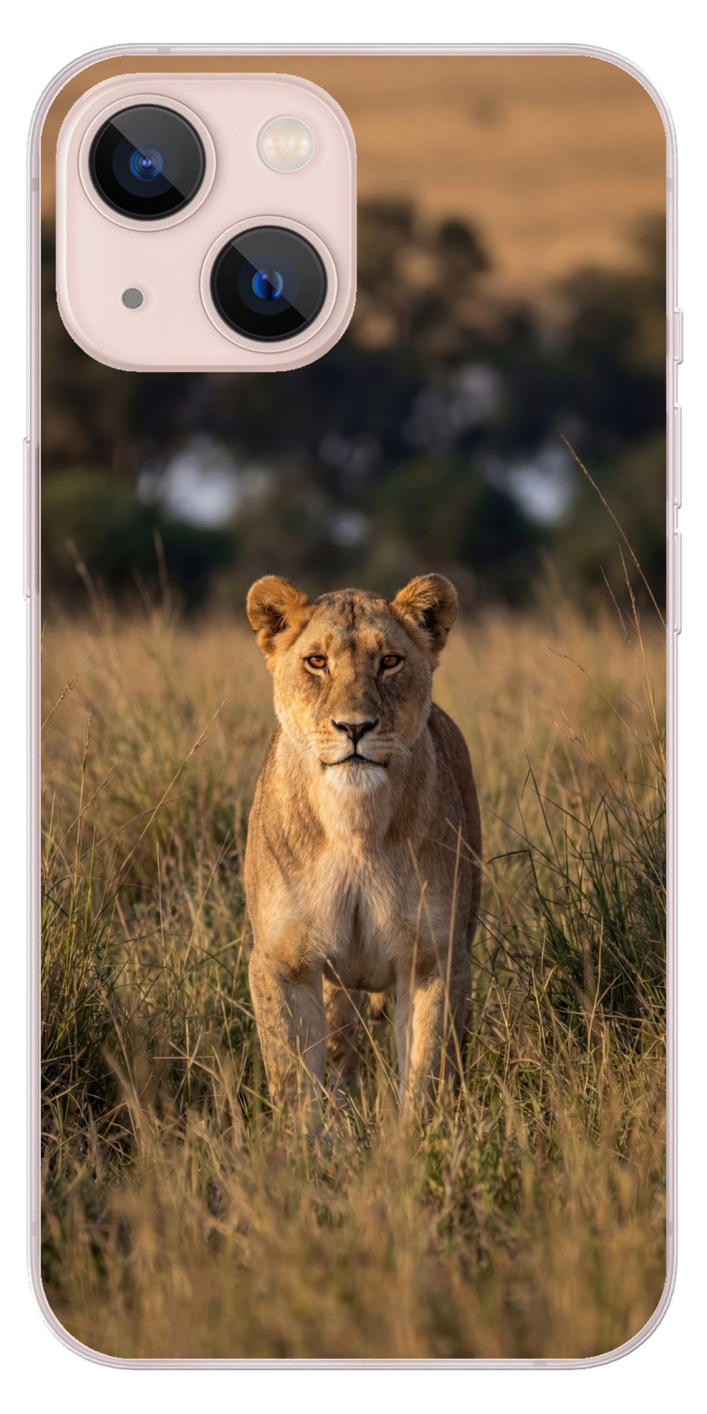 MuchoWow Handyhülle für Apple iPhone 13 Löwin - Gras - Gelb, Smartphone-Bumper, Print, Handy Schutzhülle Dünn