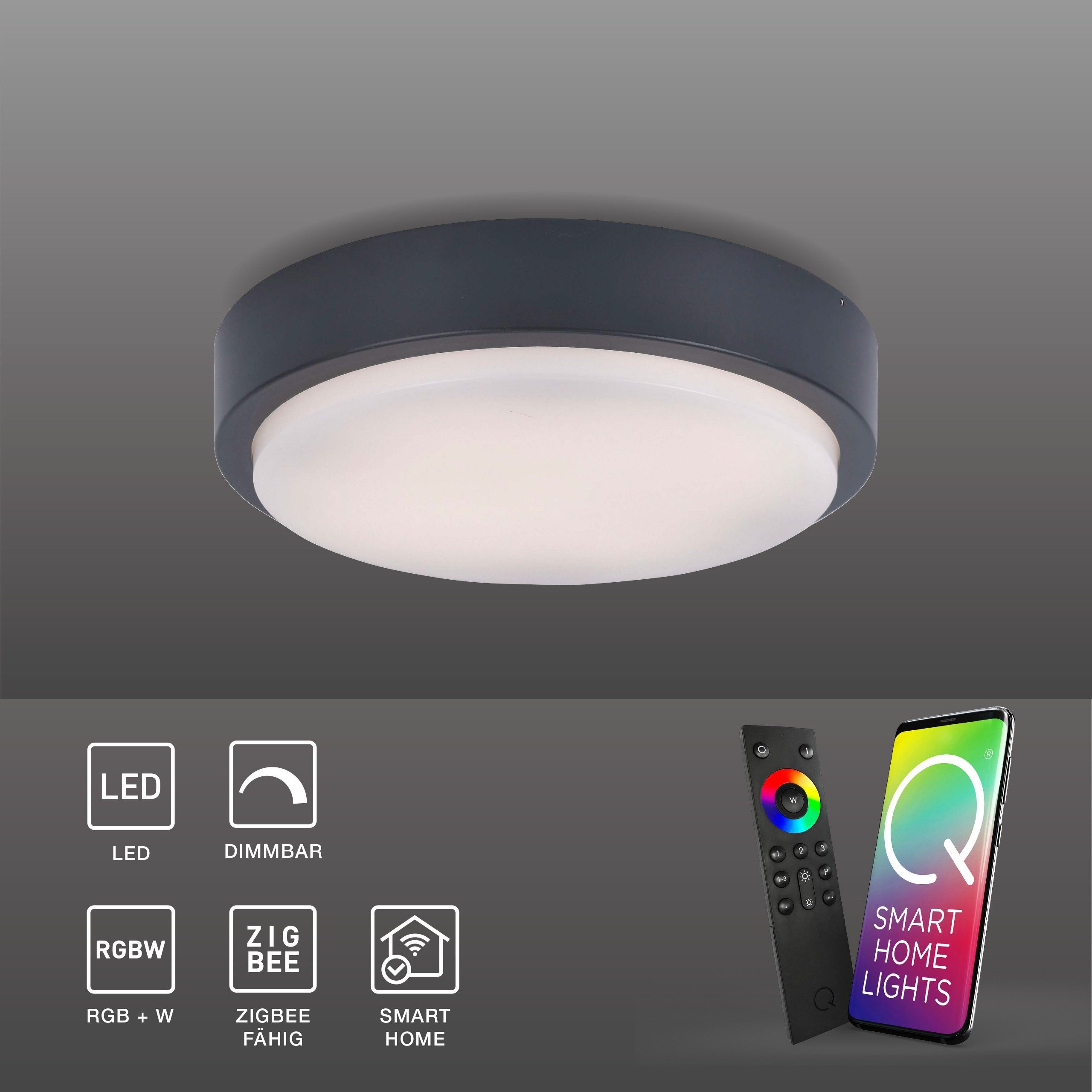 Paul Neuhaus Smarte LED-Leuchte LED Außen-Deckenlampe Q - LENNY Smart Home, Smart Home, RGB-Farbwechsel, Dimmfunktion, Memoryfunktion, mit Leuchtmittel, Warmweiß, RGB+W Farbwechsel dimmbar, Fernbedienung App Alexa