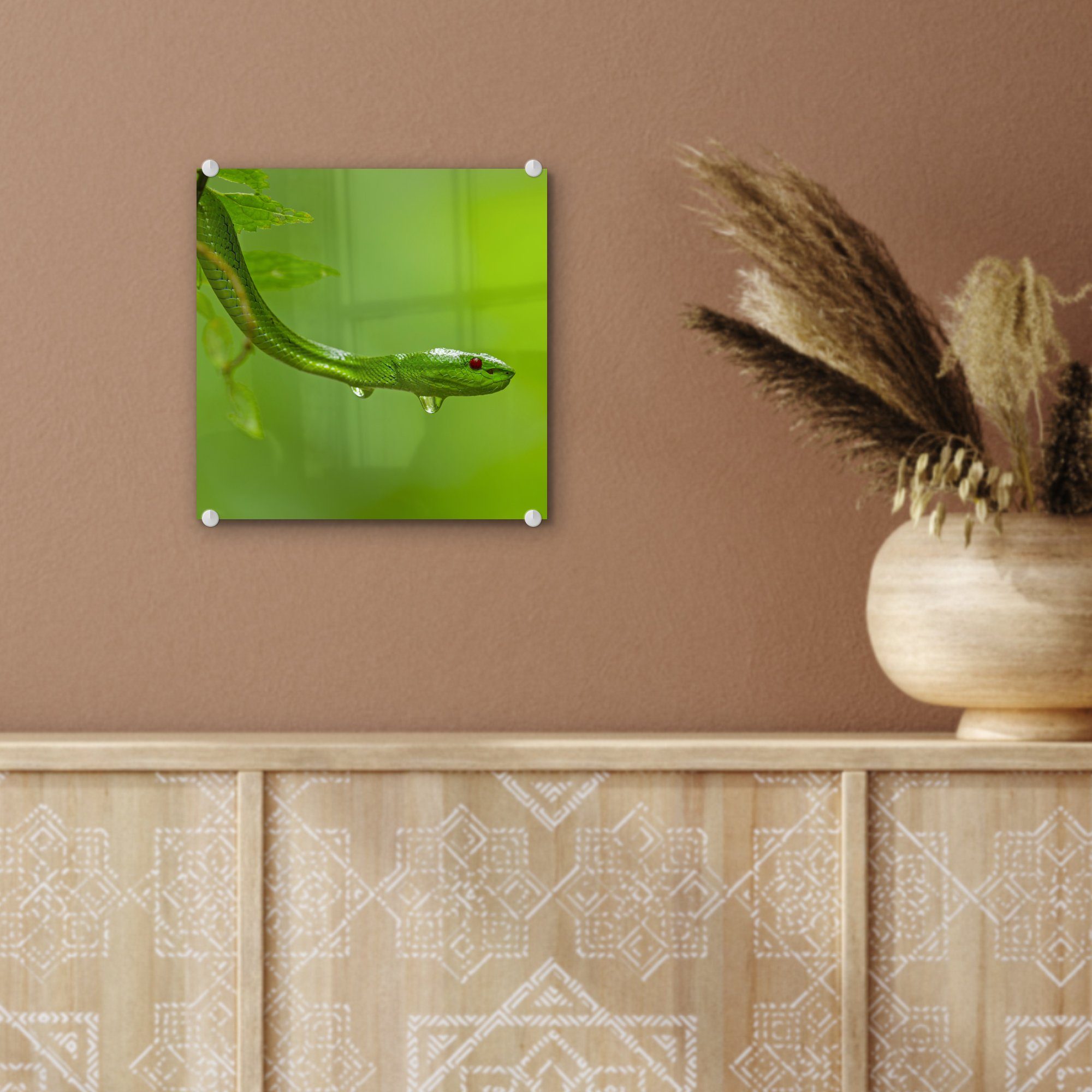 - Schlange - Nähe, Foto St), Wandbild aus der (1 Wanddekoration auf Glasbilder - Glas Glas Bilder Grüne Acrylglasbild auf MuchoWow