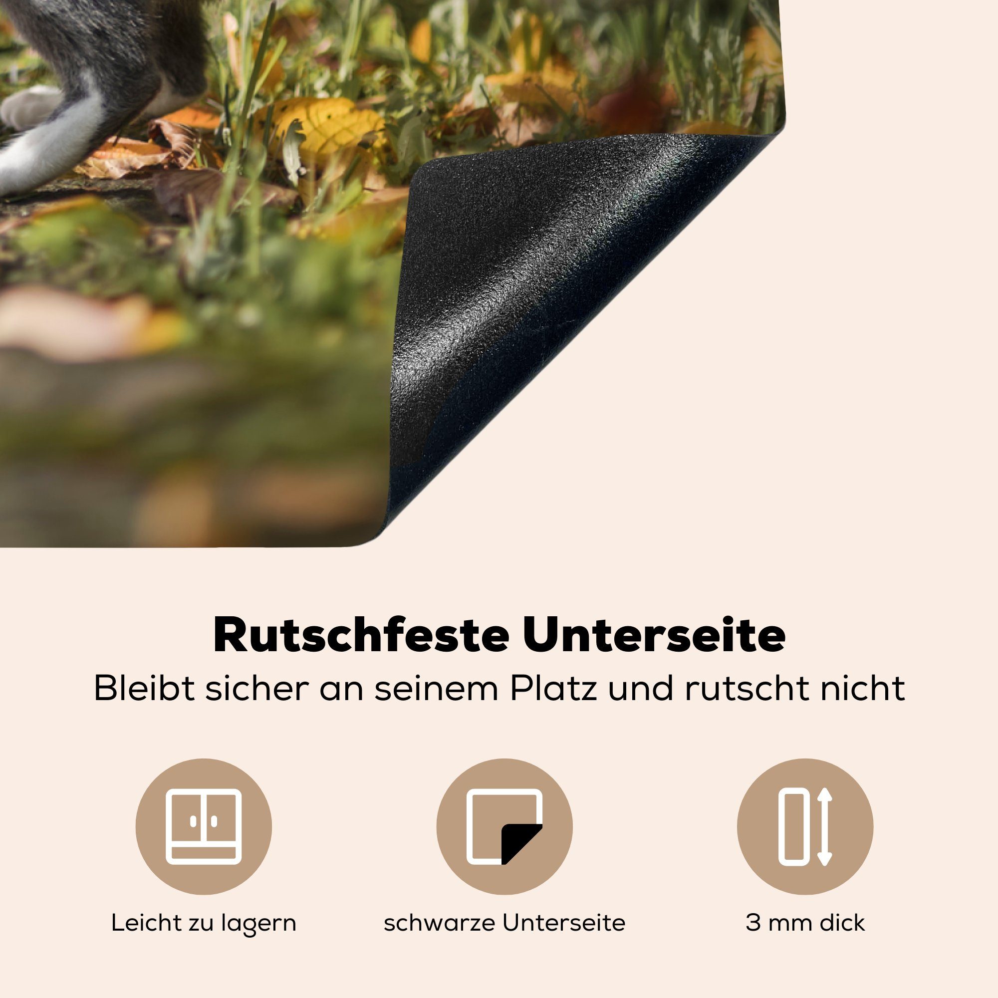 - Ceranfeldabdeckung Herbst, Vinyl, tlg), Laub MuchoWow die Induktionskochfeld (1 Katze Herdblende-/Abdeckplatte - für 81x52 Schutz küche, cm,