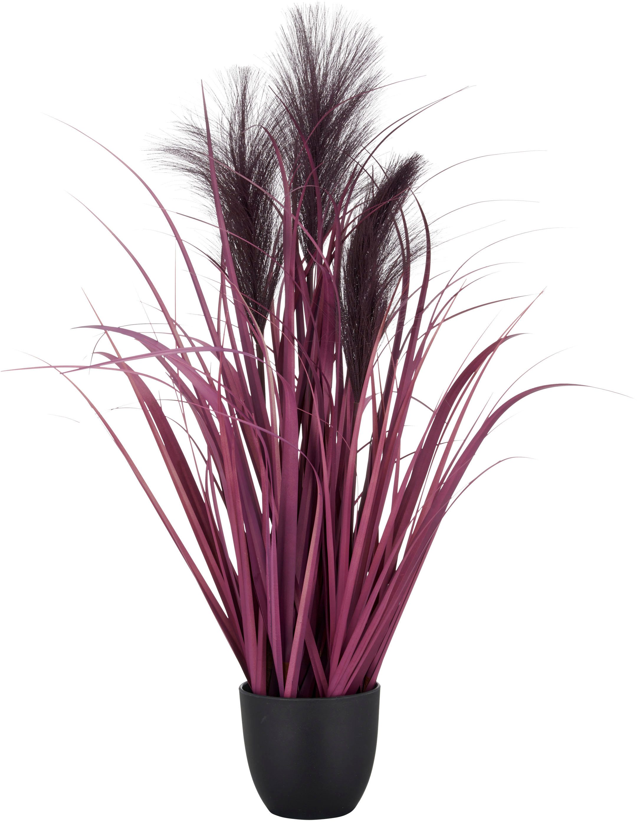 Kunstgras Pampasgras, Creativ green, Höhe 63 cm, in außergewöhnlicher Farbe günstig online kaufen