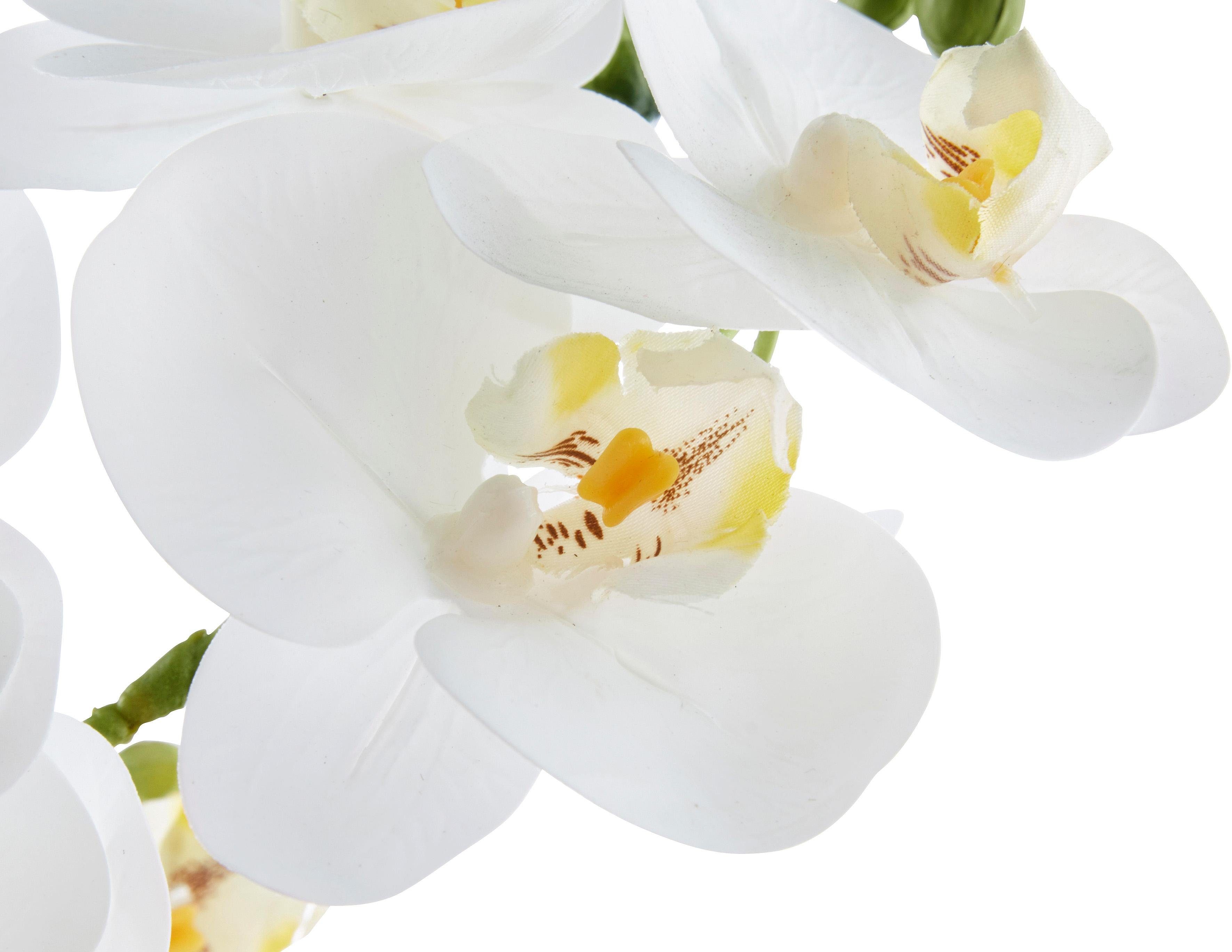 Kunstpflanze Orchidee Orchidee, Leonique, Höhe 38 cm, Kunstorchidee, im Top günstig online kaufen
