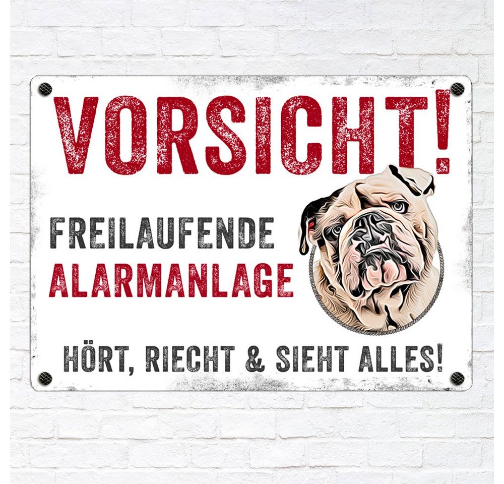 Thumbnail - Cadouri Warnschild Hundewarnschild ENGLISCHE BULLDOGGE - Hinweisschild mit Hunderasse, (Metallschild mit vier vorgebohrt...