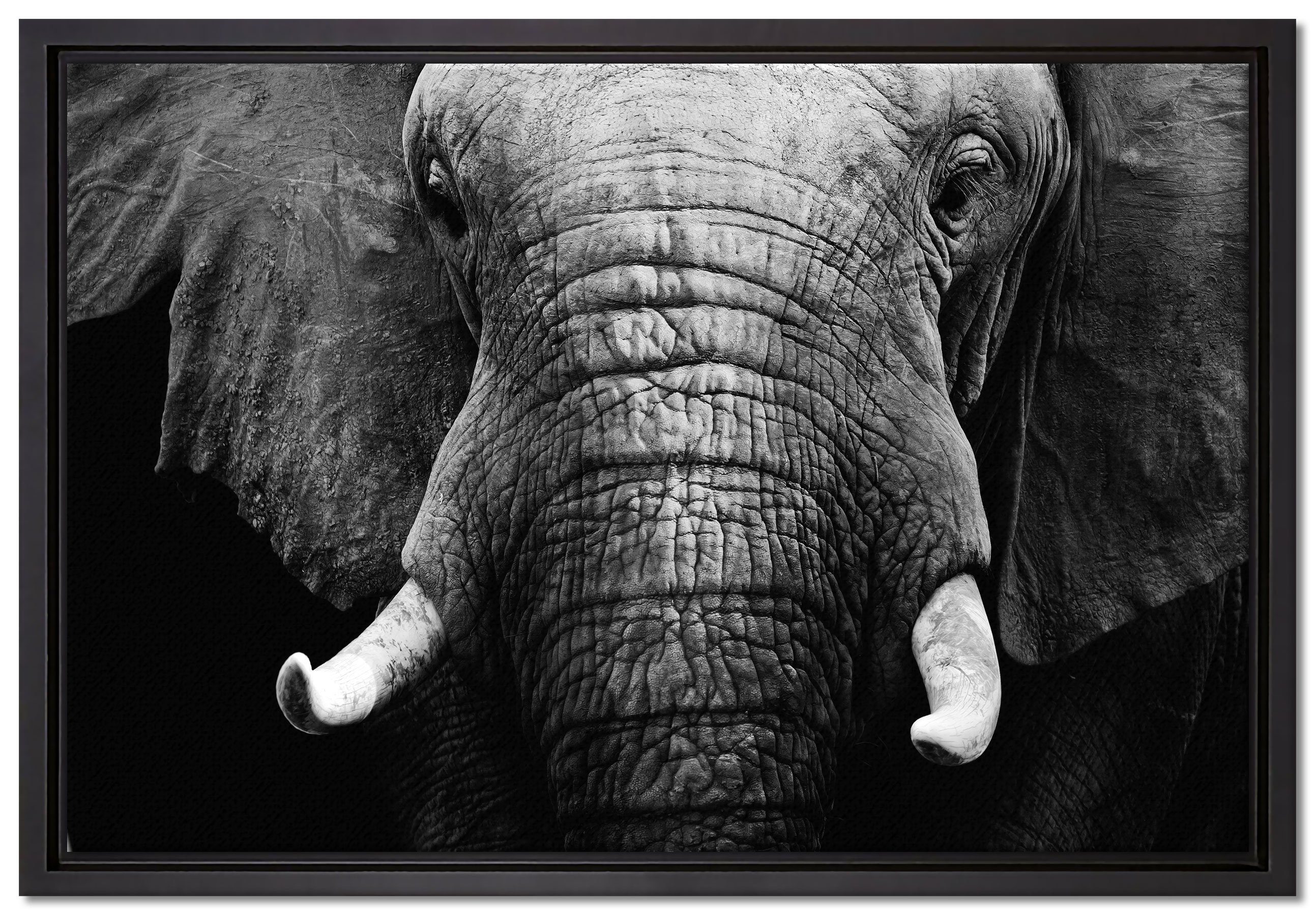 Pixxprint fertig Elefant Zackenaufhänger inkl. gefasst, Schattenfugen-Bilderrahmen Leinwandbild St), (1 bespannt, Wanddekoration Leinwandbild Porträt, in einem