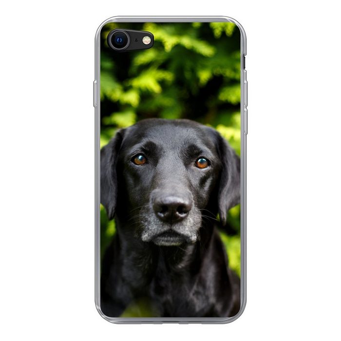 MuchoWow Handyhülle Ein schwarzer Labrador Retriever inmitten der grünen Blätter Handyhülle Apple iPhone SE (2020) Smartphone-Bumper Print Handy
