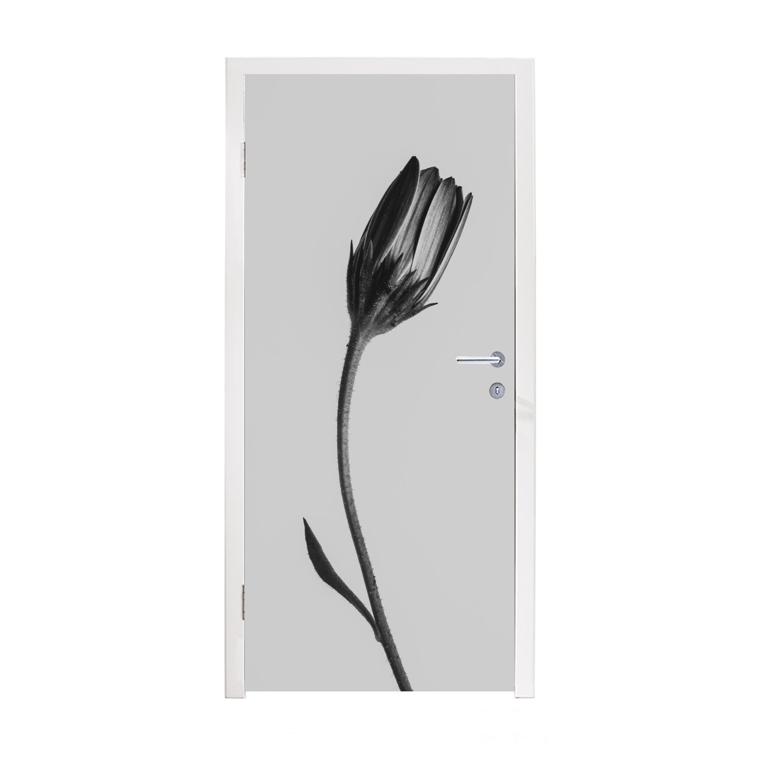 MuchoWow Türtapete Pflanze - Makro - Schwarz - Weiß, Matt, bedruckt, (1 St), Fototapete für Tür, Türaufkleber, 75x205 cm