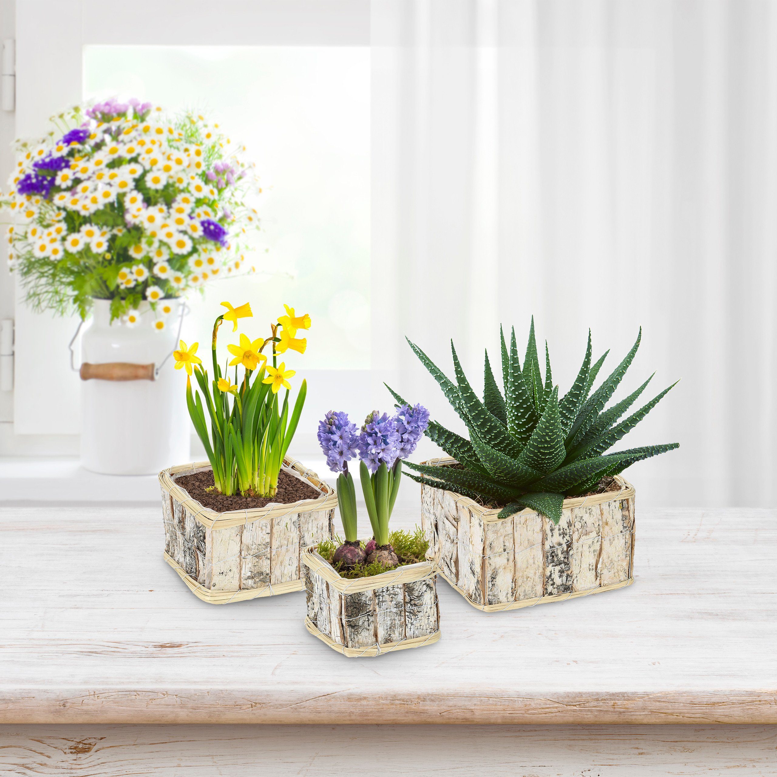 relaxdays Blumentopf Rechteckiger Blumentopf im 3er günstig online kaufen