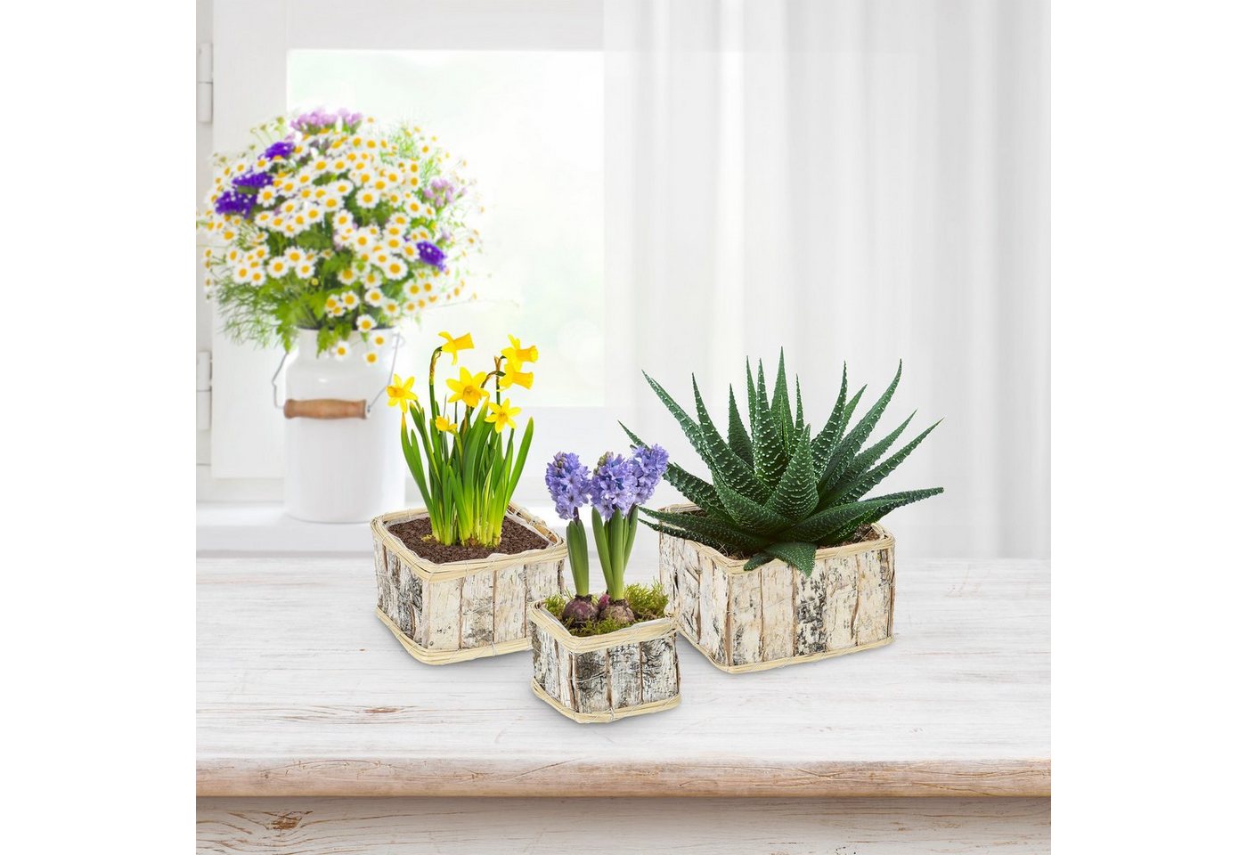 Thumbnail - relaxdays Blumentopf Rechteckiger Blumentopf im 3er Set