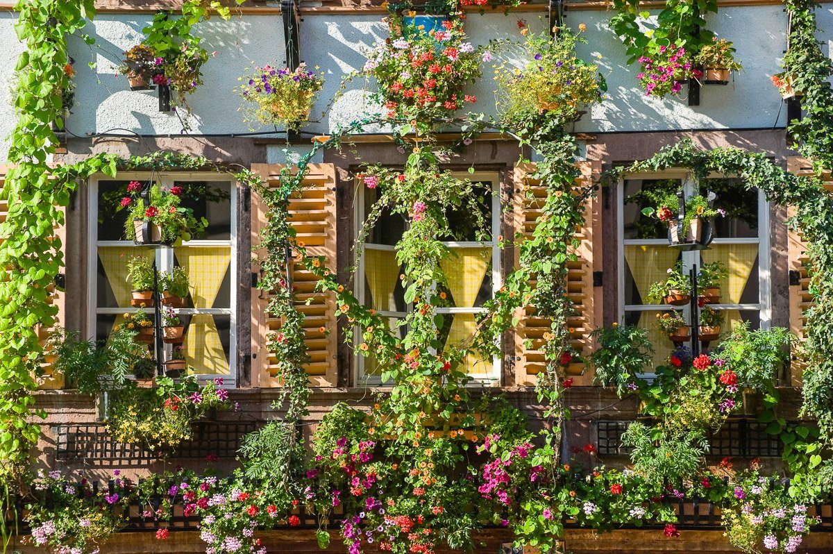 Papermoon Fototapete Haus mit Pflanzen