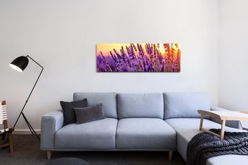 möbel-direkt.de Leinwandbild Bilder XXL Lavendelstengel Wandbild auf Leinwand
