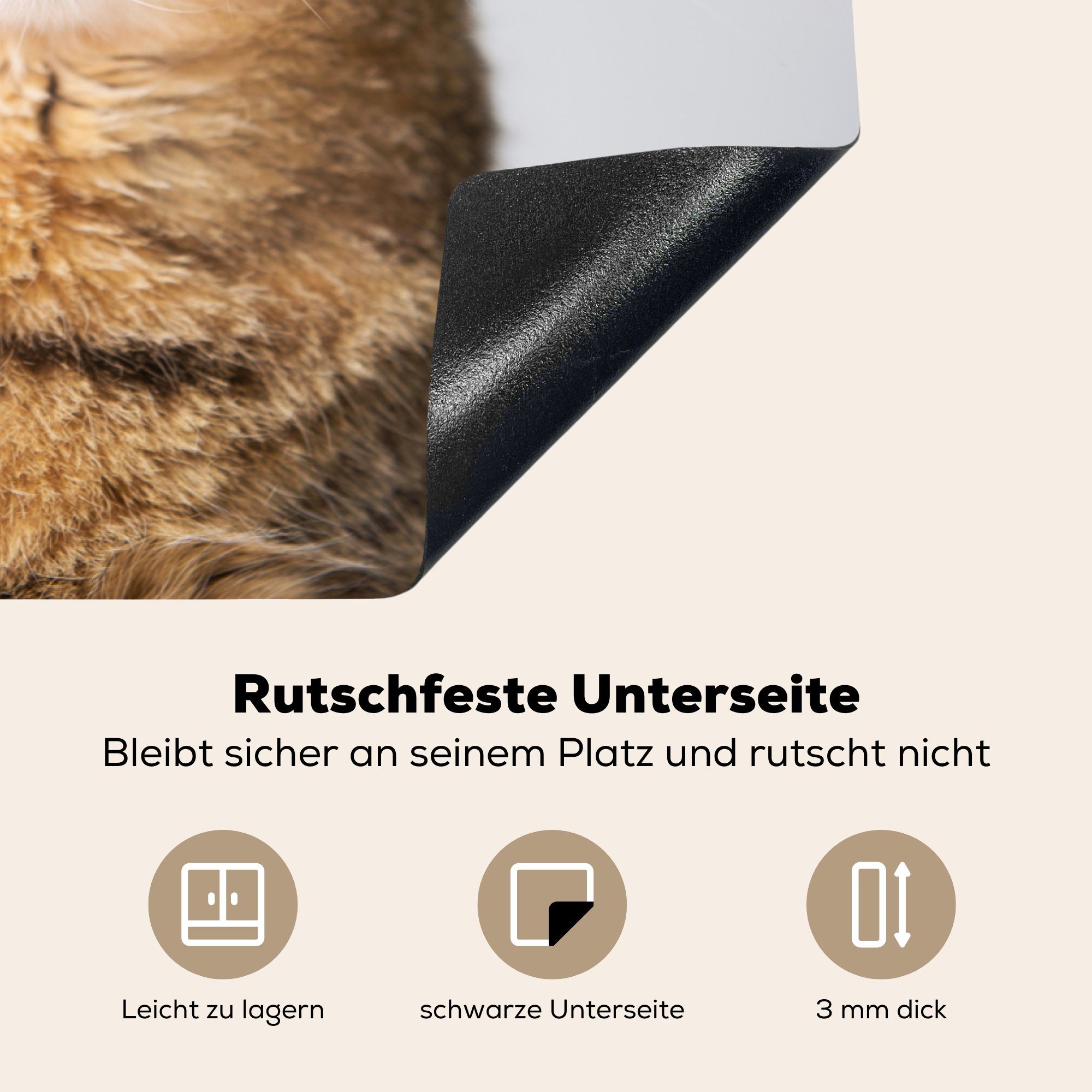 MuchoWow Herdblende-/Abdeckplatte Katze Schutz - Schnauzbart - Hipster, die Vinyl, küche, (1 Induktionskochfeld 81x52 für cm, tlg), Ceranfeldabdeckung
