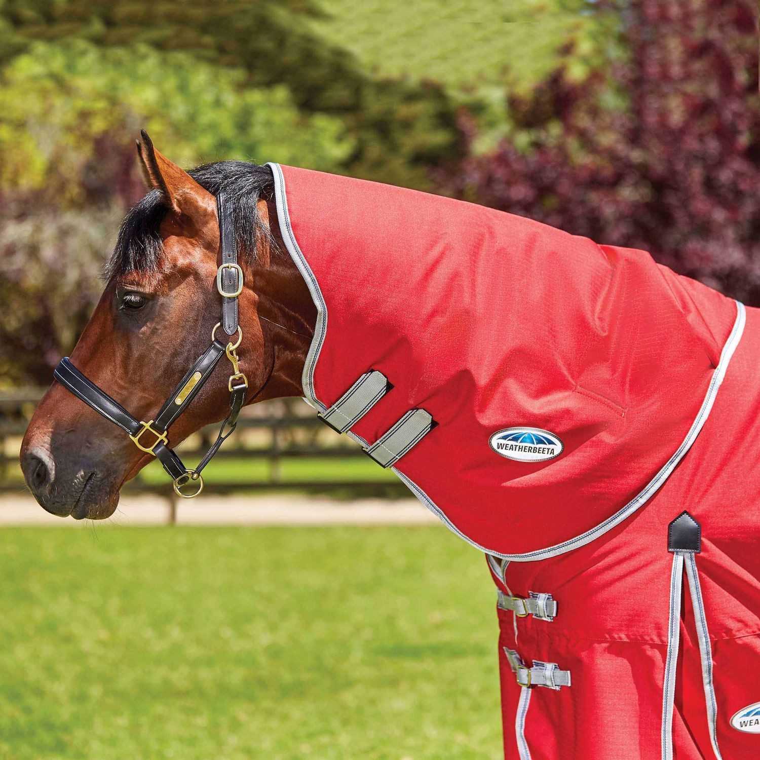 WeatherBeeta Pferde-Thermodecke Weatherbeeta Comfitec Classic Neck Rug Medium 220g - red/silver/navy