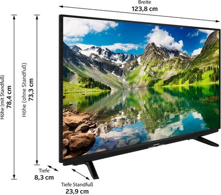 Grundig 55 VOE 71 - Fire TV Edition TRH000 LED-Fernseher (139 cm/55 Zoll, 4K Ultra HD, Smart-TV)
