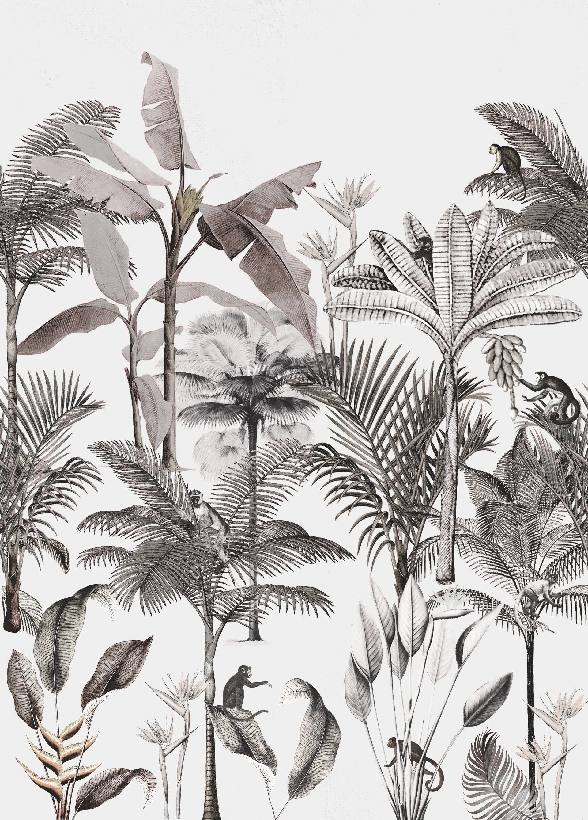 Rasch Fototapete Rasch Selection, Exotic, schwarz 539189