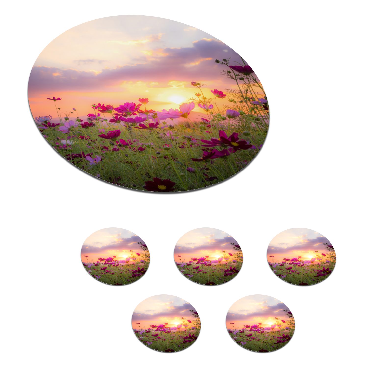 MuchoWow Glasuntersetzer Blumen - Rosa - Sonnenuntergang - Natur - Wiese - Horizont, Zubehör für Gläser, 6-tlg., Getränkeuntersetzer, Tassenuntersetzer, Korkuntersetzer, Tasse, Becher