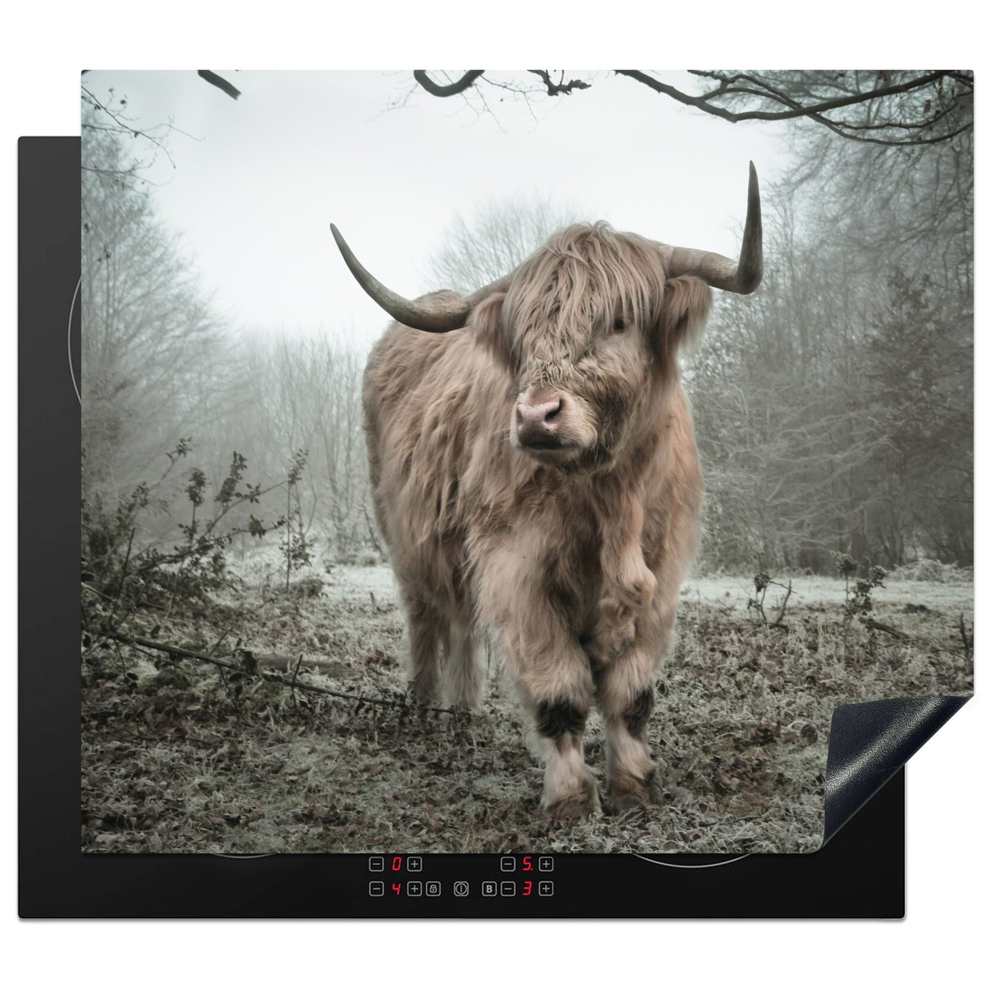 MuchoWow Herd-Abdeckplatte Schottischer Highlander - Wald - Nebel - Kuh - Tiere - Natur, Vinyl, (1 tlg), Ceranfeldabdeckung Küche, Herdabdeckplatte Einteilig, 60x52 cm