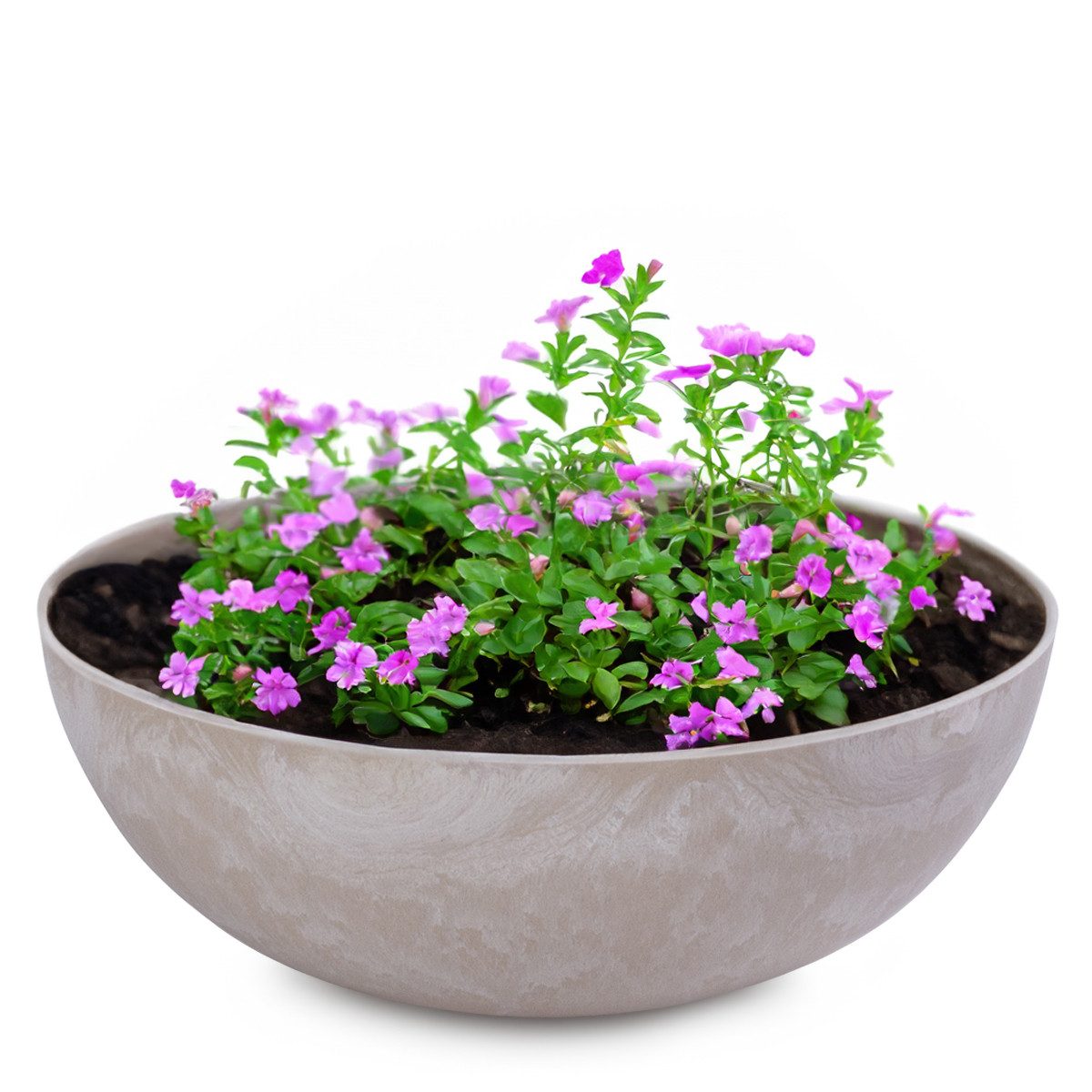 Blumentopf Pflanzschalen für draussen Dekoschalen rund sand beige 20 cm