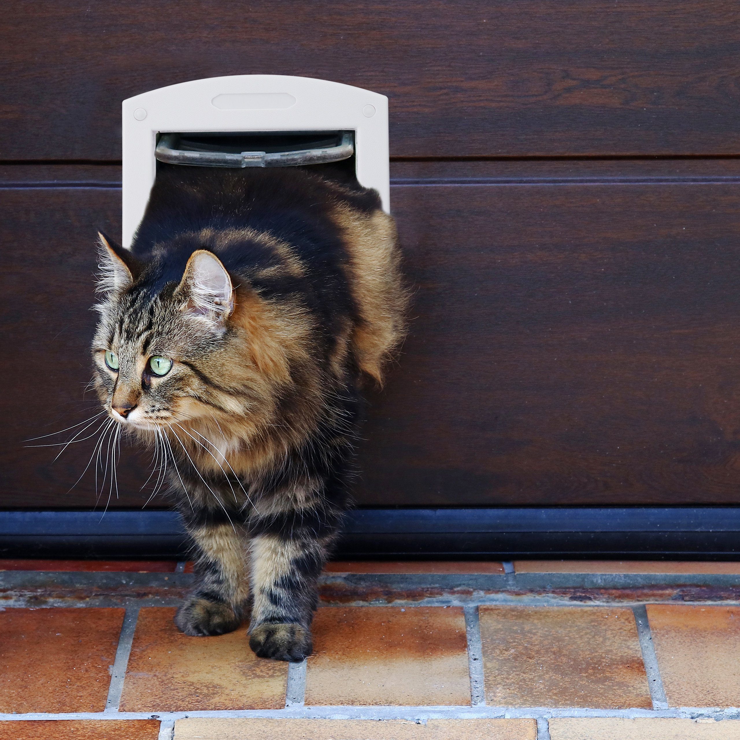 relaxdays Haustierklappe 4 Wege, weiß