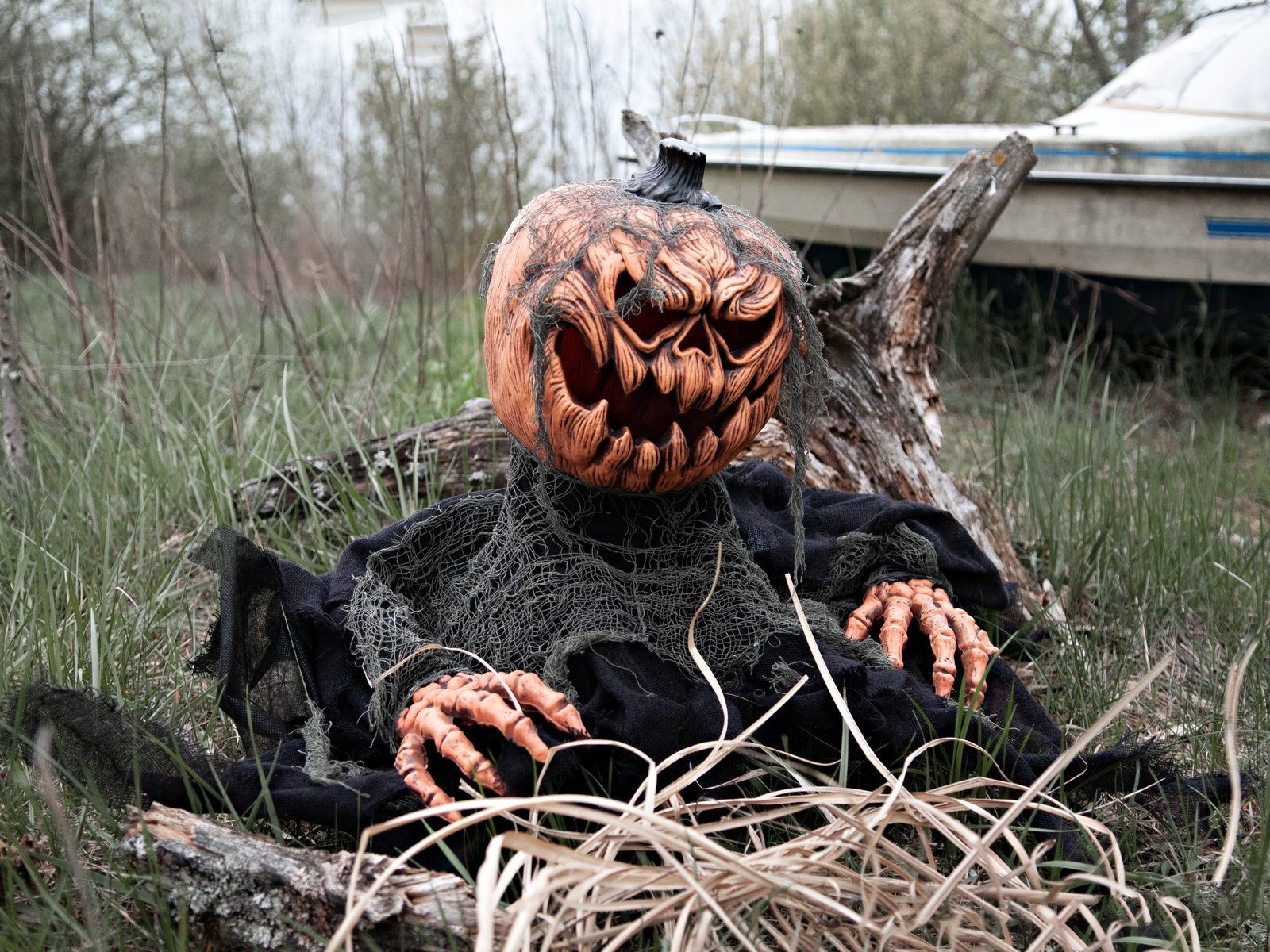 SATISFIRE Dekofigur 50cm Figur Halloween und bewegte mit Geräuschen Kürbismonster - Licht