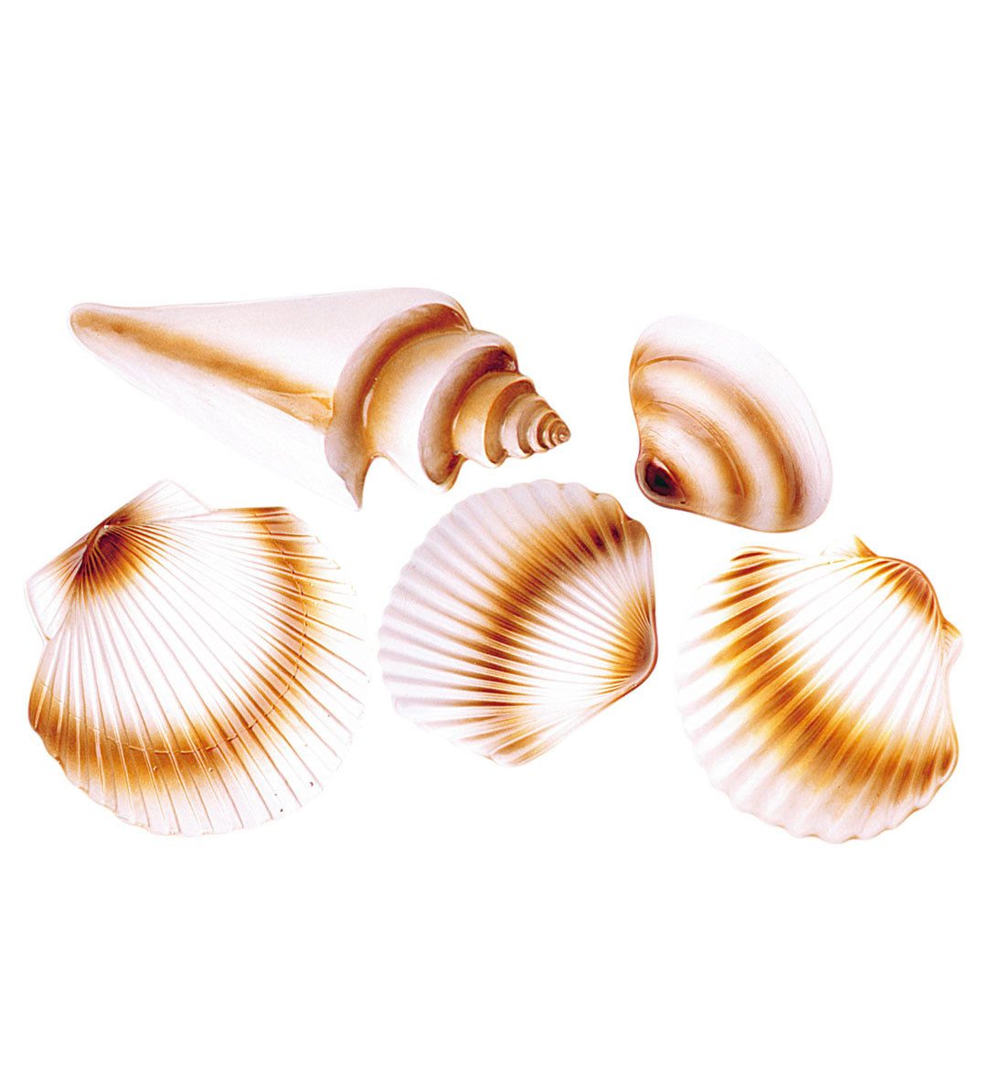 Kostüm Muschelset