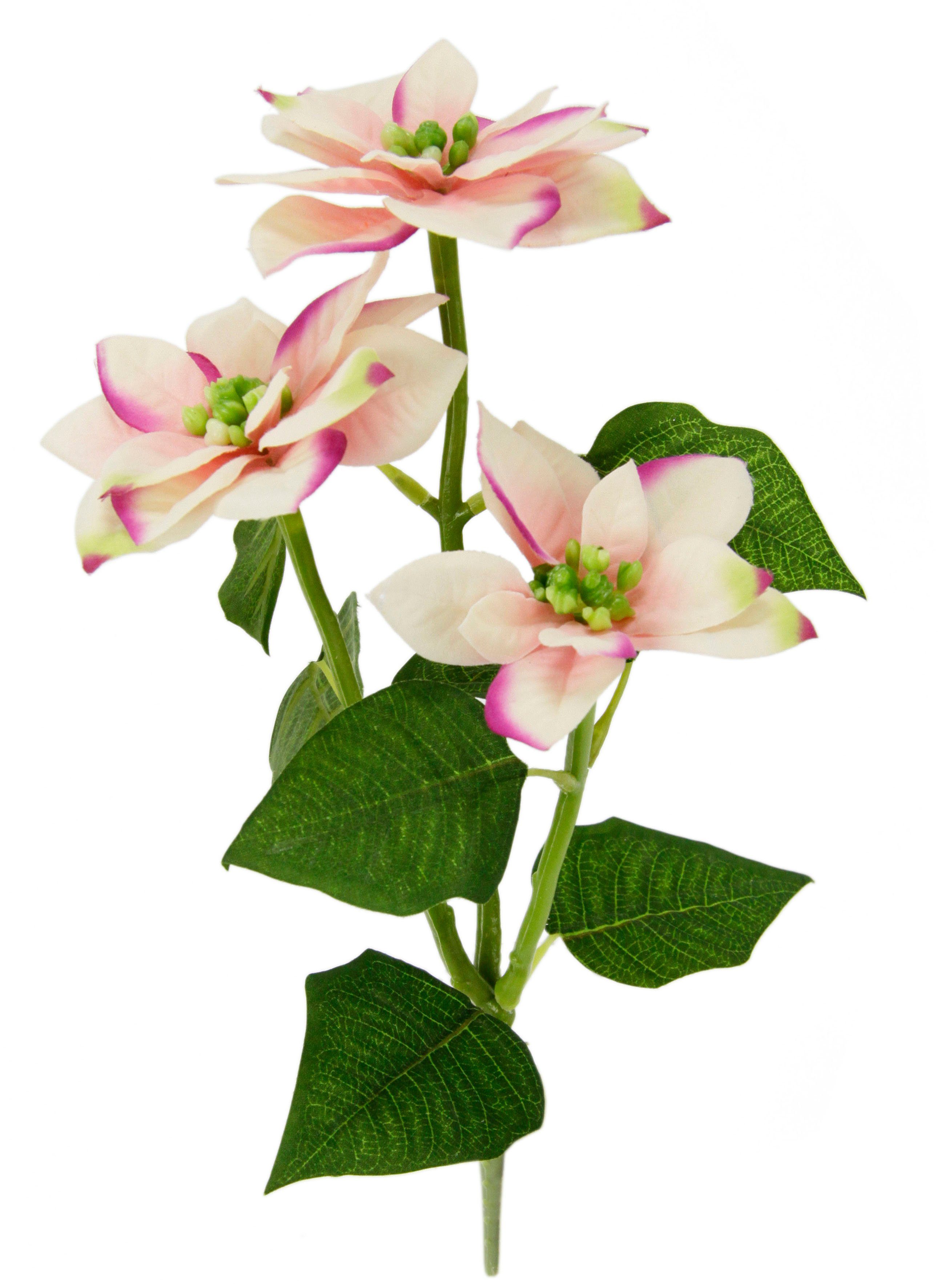 Kunstblume Poinsettie, I.GE.A., Poinsettiazweig, Künstlicher Höhe 5er rosa 28 cm, Set