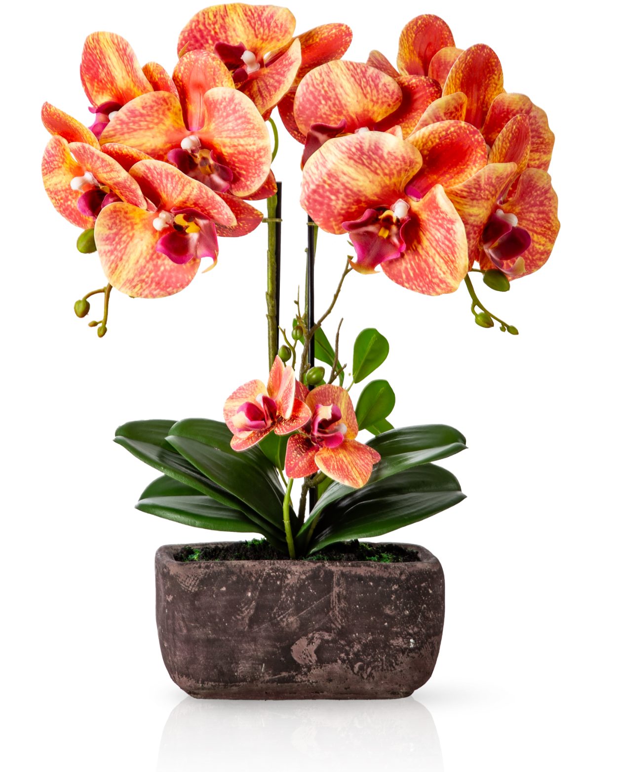 Kunstorchidee PASCH® Orchidee künstlich wie echt (40cm) in Urban Stone Töpfen Orchidee, PASCH, Real Touch Blüten, Handgefertigter Stone Cube