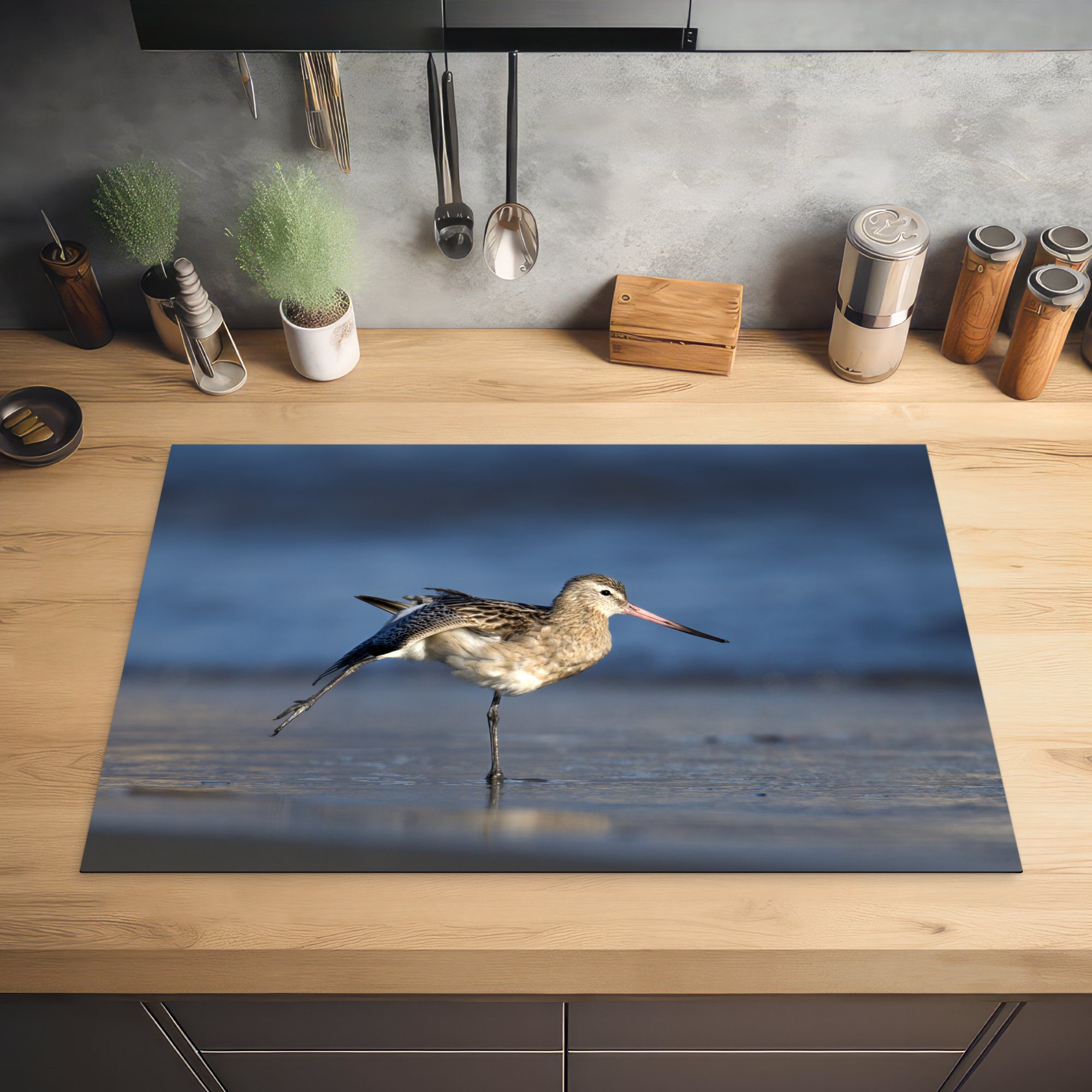 Vinyl, cm, küche, (1 Flügel am Ceranfeldabdeckung Herdblende-/Abdeckplatte MuchoWow Schutz Induktionskochfeld Strand die aus, 81x52 tlg), für ihre Uferschnepfe streckt