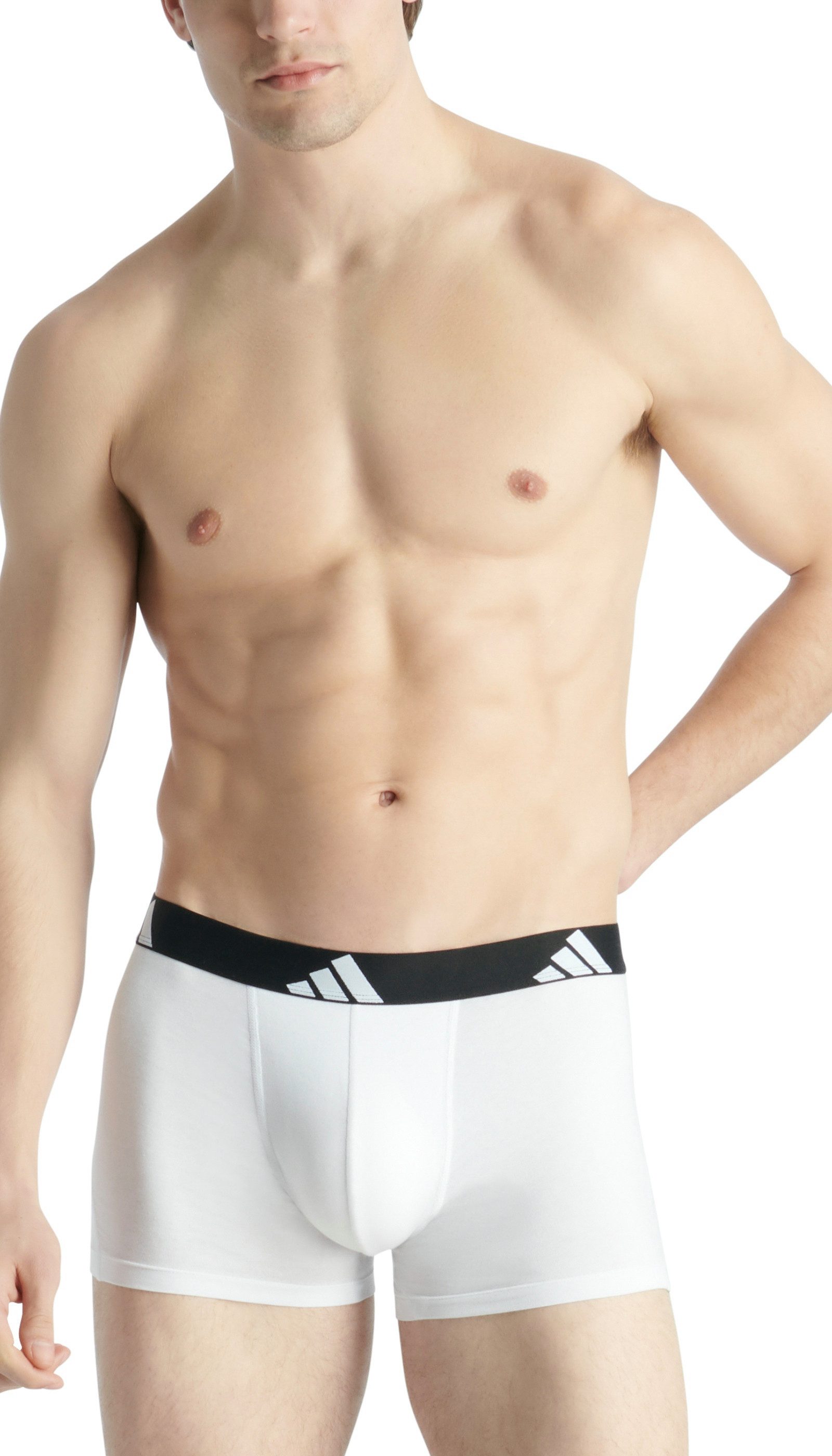 adidas Sportswear Trunk Active Flex Cotton (3er Pack) elastischer Logo-Bund, ohne Eingriff, Single Jersey-Qualität