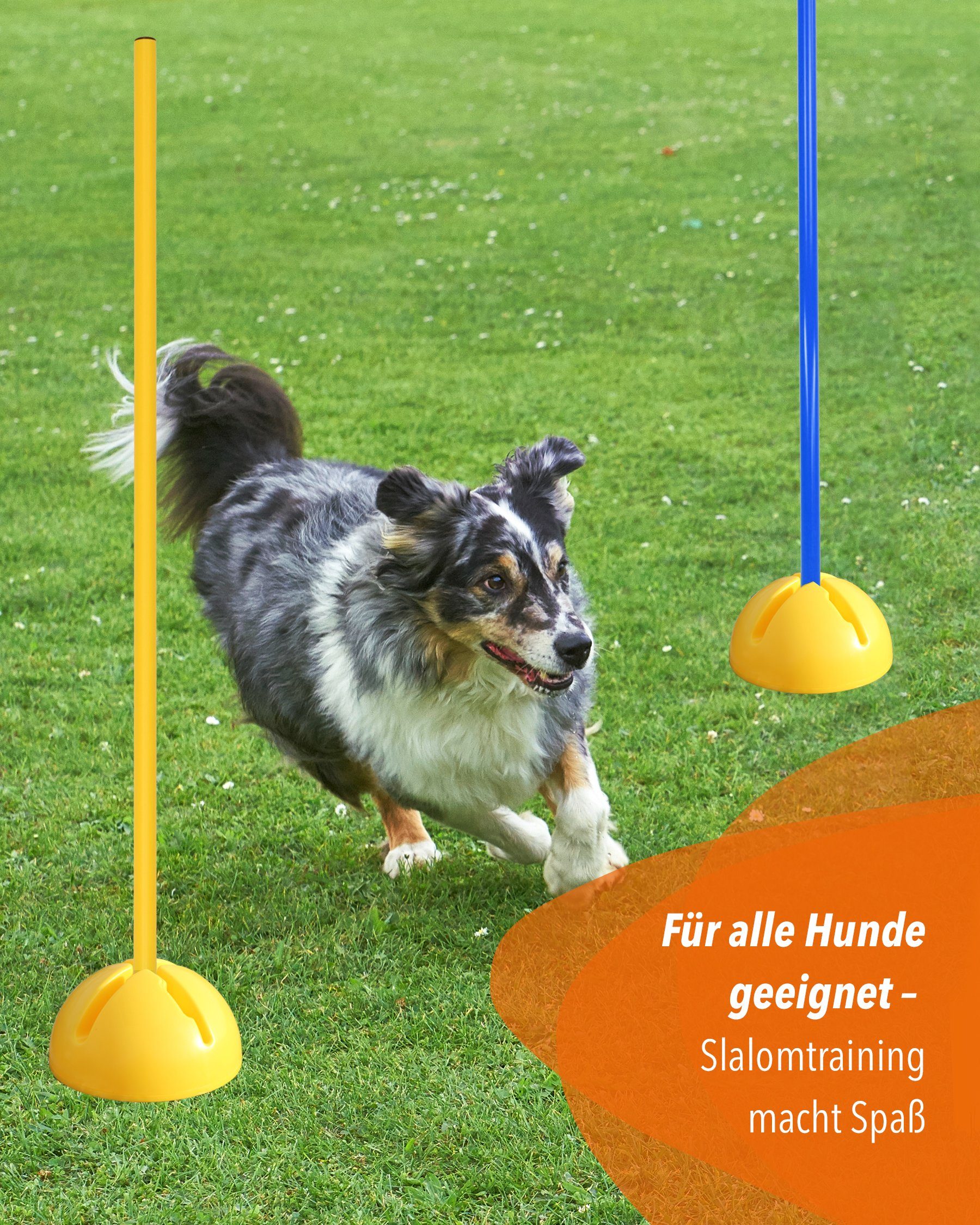 SPORTIKEL24 Agility-Slalom X-Fuß Slalomset mit Stange 100 cm Farbe Gelb, Kunststoff