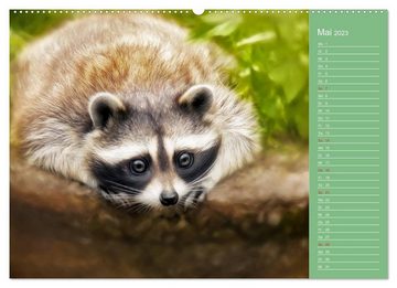 CALVENDO Wandkalender Süsse Tierwelt / CH-Version / Geburtstagskalender (Premium, hochwertiger DIN A2 Wandkalender 2023, Kunstdruck in Hochglanz)