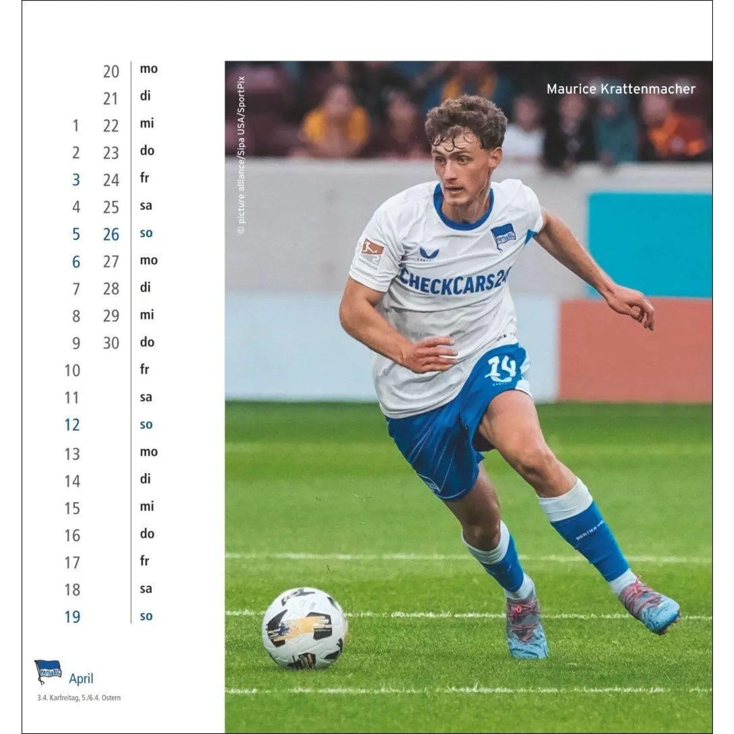 HEYE Wandkalender Hertha BSC Postkartenkalender 2026