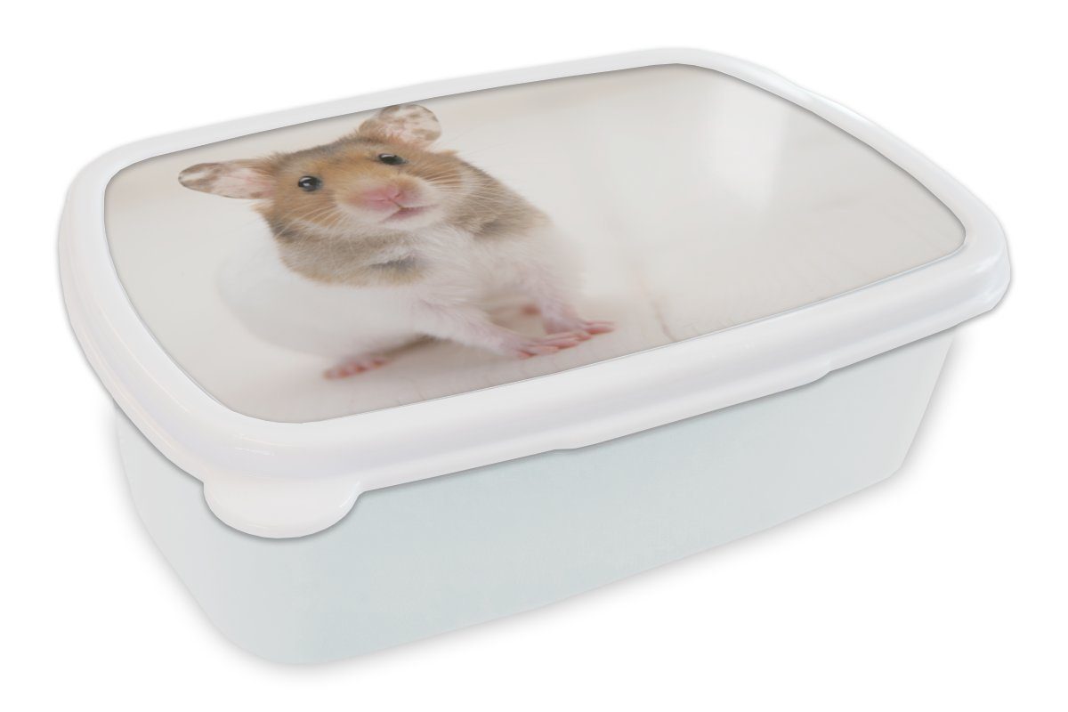 MuchoWow Lunchbox Stehender brauner und weißer Hamster, Kunststoff, (2-tlg), Brotbox für Kinder und Erwachsene, Brotdose, für Jungs und Mädchen