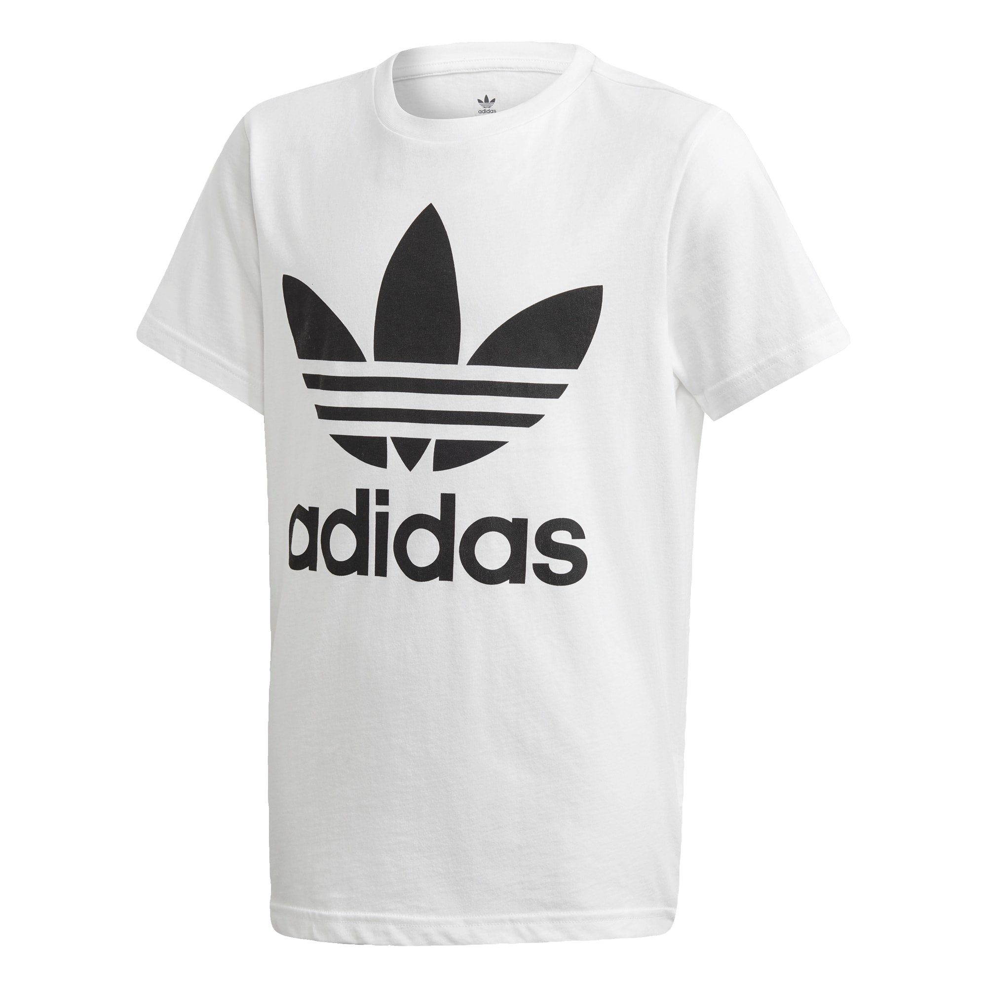 adidas Originals T-Shirt »Trefoil T-Shirt« kaufen | OTTO