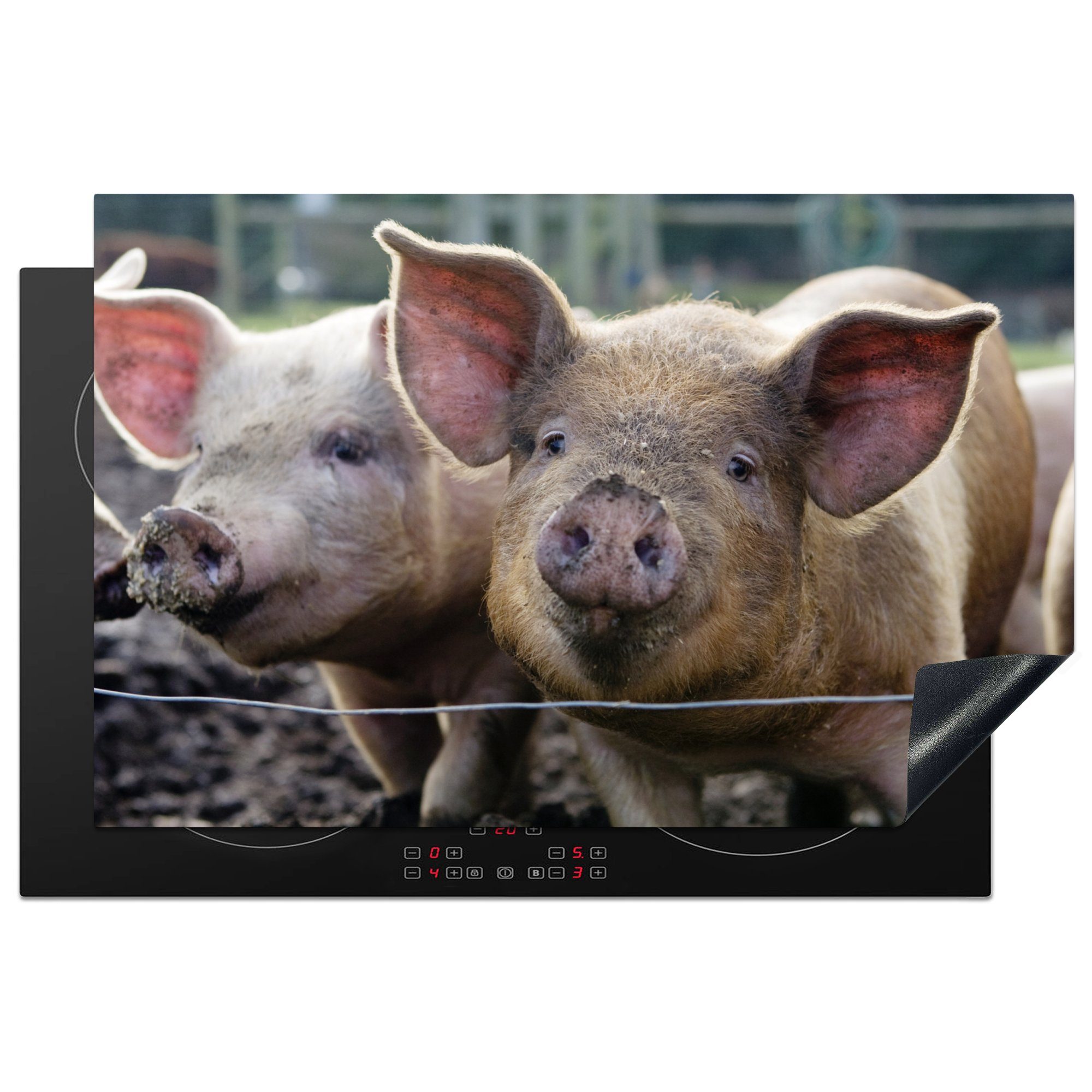 MuchoWow Herdblende-/Abdeckplatte Schwein - Schlamm - Tiere, Vinyl, (1 tlg), 81x52 cm, Induktionskochfeld Schutz für die küche, Ceranfeldabdeckung