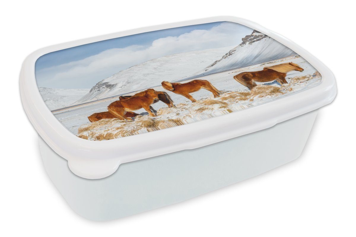 MuchoWow Lunchbox Braune Isländerpferde am Fuße eines schneebedeckten Berges, Kunststoff, (2-tlg), Brotbox für Kinder und Erwachsene, Brotdose, für Jungs und Mädchen weiß