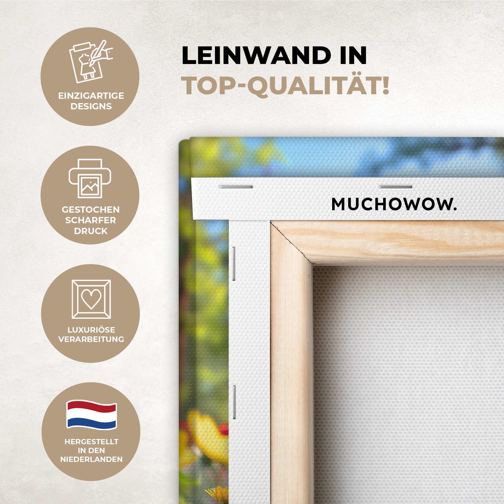 OneMillionCanvasses® Leinwandbild Waschbär - Natur - günstig online kaufen
