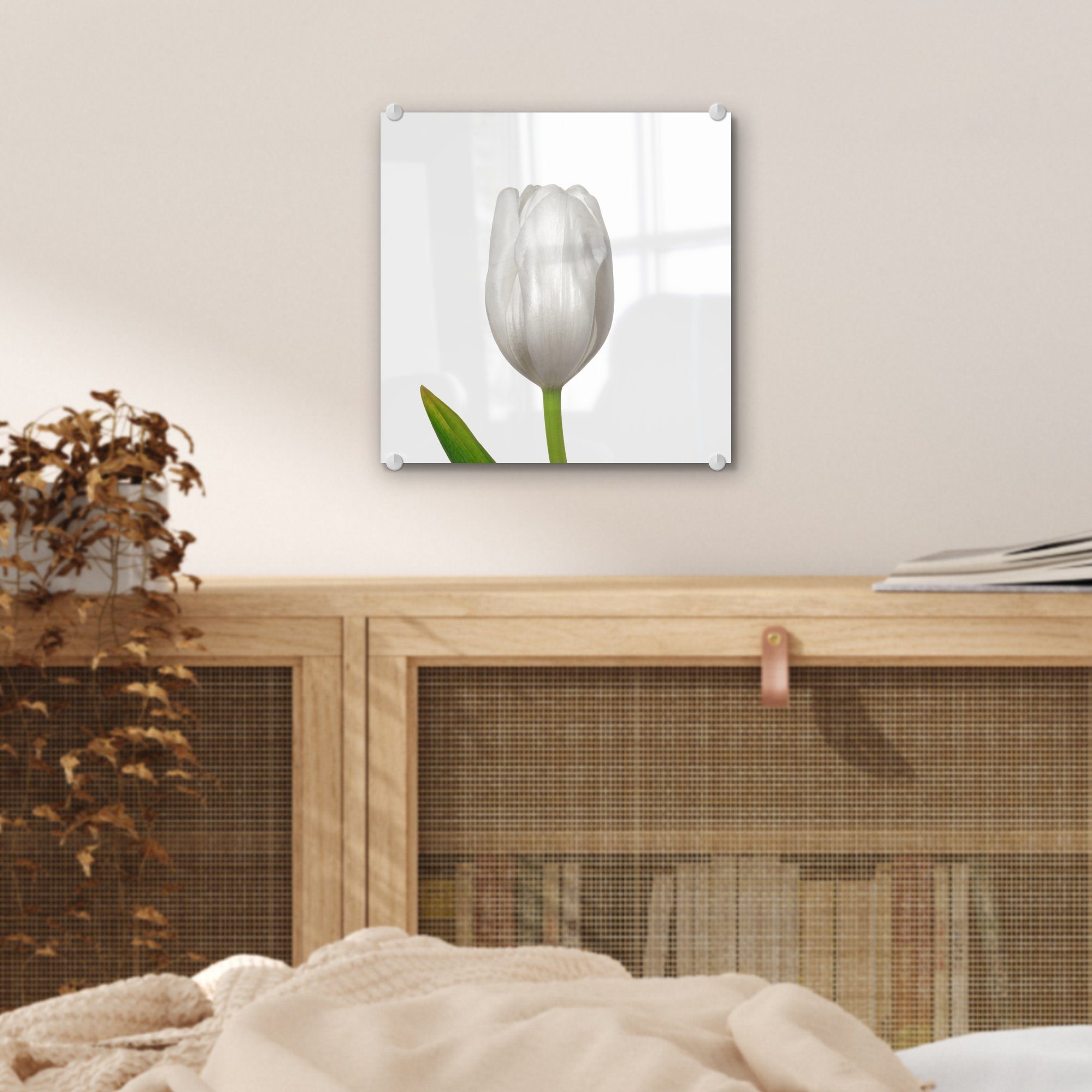 St), Nahaufnahme Foto MuchoWow weißen - auf Glas der - Blätter Tulpe, Wanddekoration einer Bilder (1 Acrylglasbild Glasbilder Wandbild auf Glas -