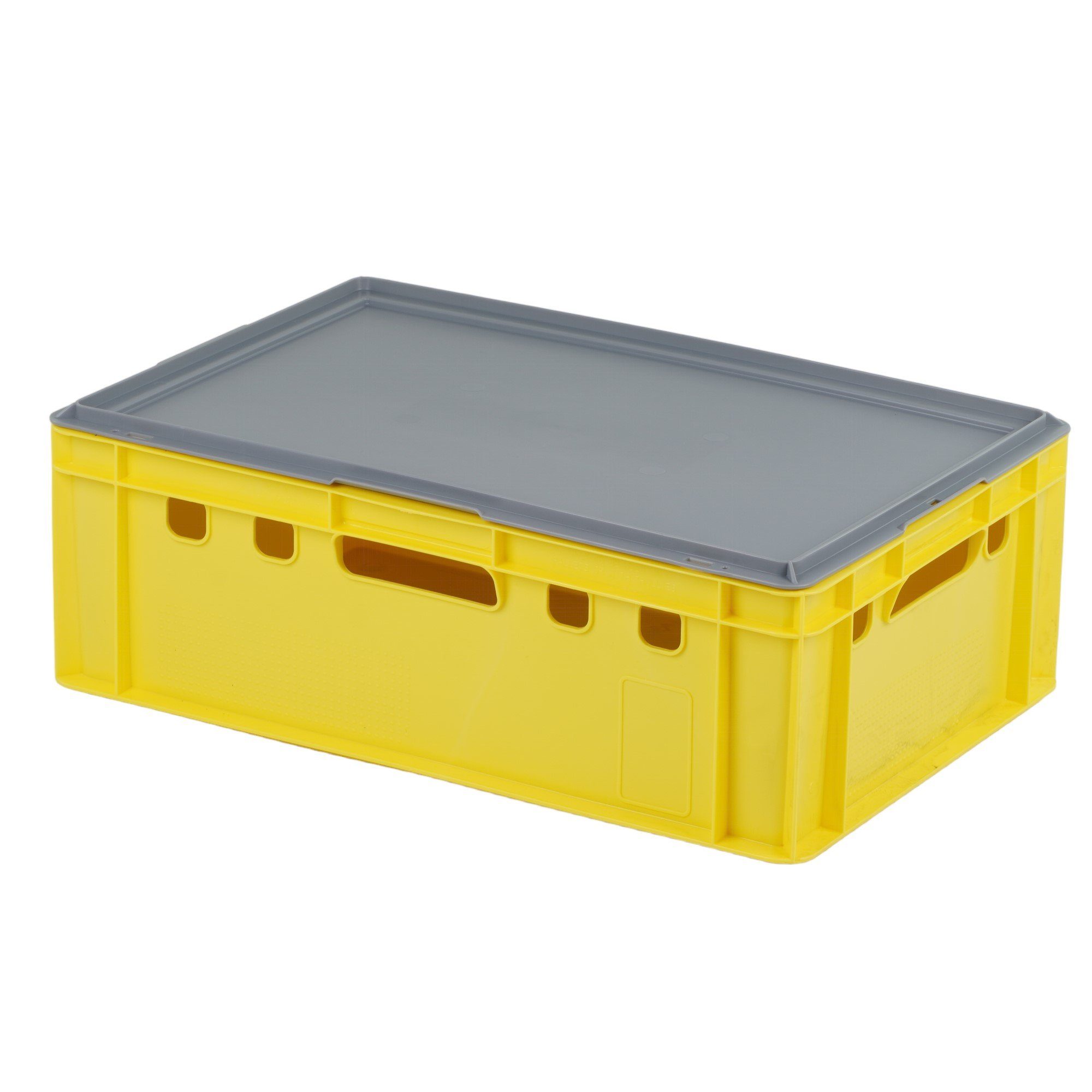 Logiplast Allzweckkiste E2 Kiste mit grauem Deckel (Spar-Set, Eine Kiste mit Deckel), lebensmittelecht, leicht zu reinigen, robust