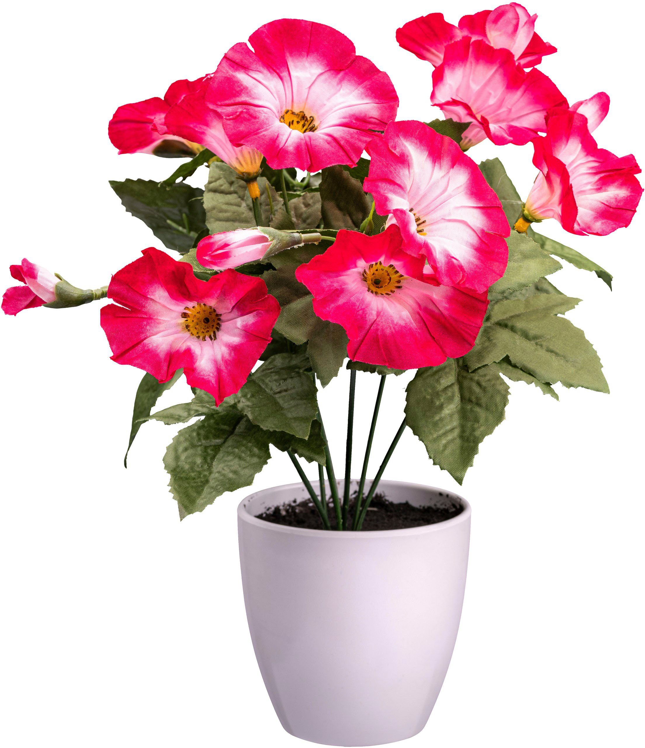 Kunstblume Petunie Mohn, Creativ green, Höhe günstig online kaufen