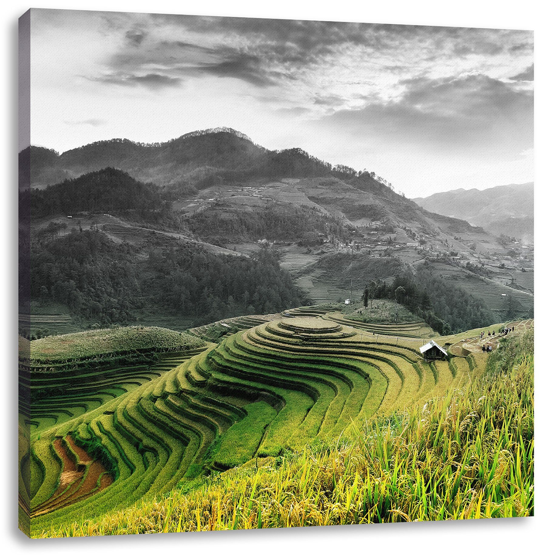 Leinwandbild in bespannt, (1 in inkl. Zackenaufhänger Reisfelder Leinwandbild fertig St), Reisfelder Pixxprint Vietnam, Vietnam