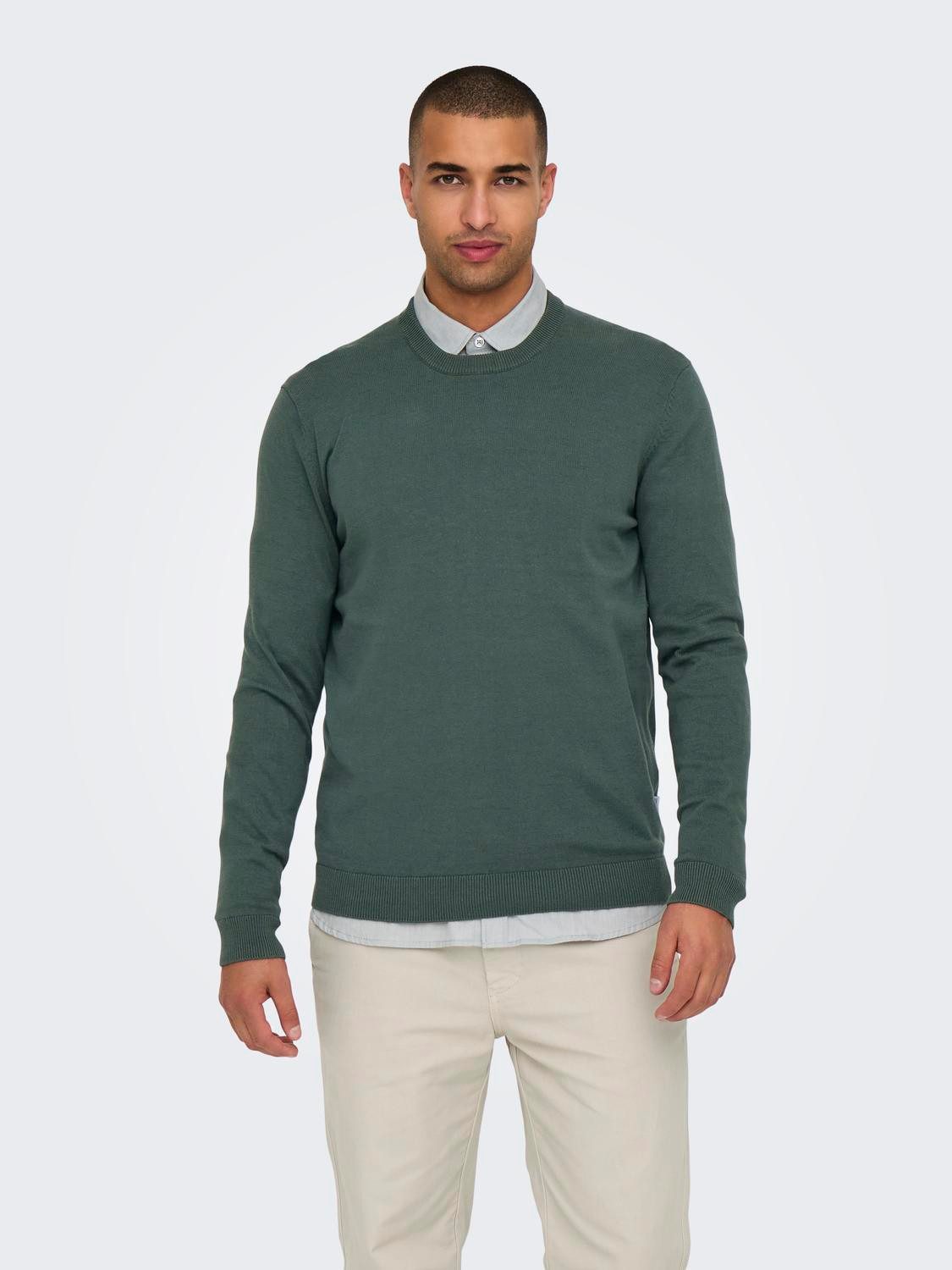 ONLY & SONS Rundhalspullover ONSALEX 12 günstig online kaufen