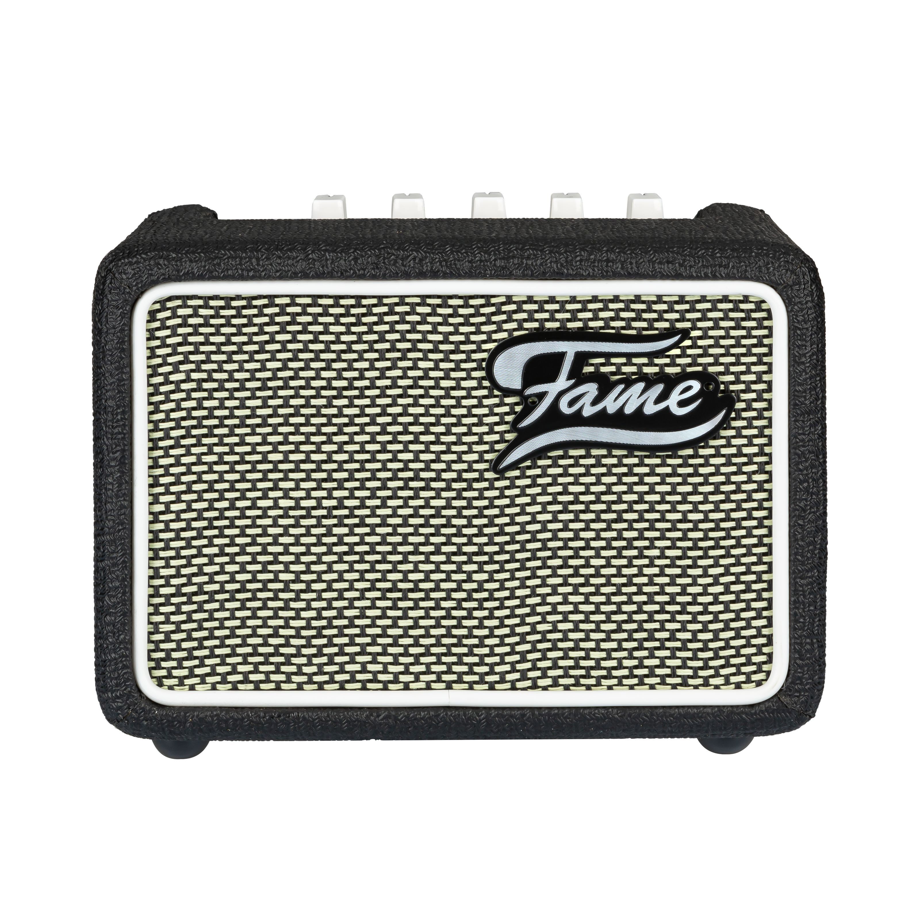 FAME Verstärker (R1 - Transistor Combo Verstärker für E-Gitarre)