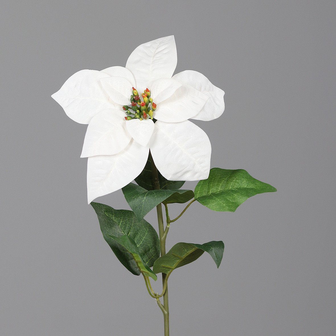 Kunstpflanze DPI Poinsettia creme 55 cm, günstig online kaufen