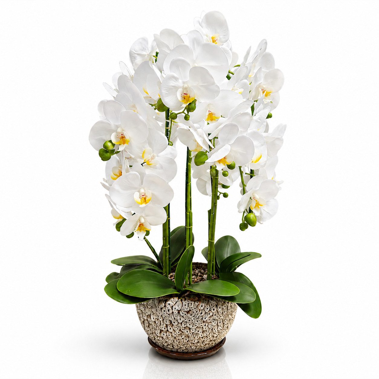 Kunstorchidee PASCH® Orchidee künstlich wie echt in Hochglanz-Keramiktopf Orchidee, PASCH, Hochglanz Keramiktopf