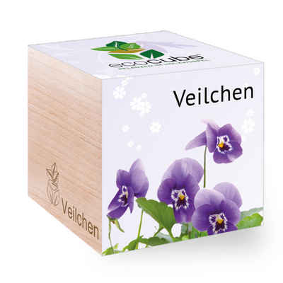 Feel Green Blumenerde »Ecocube Veilchen, Nachhaltige Geschenkidee (100% Eco Friendly), Grow Your Own/Anzuchtset, Pflanzen Im Holzwürfel«, (1-St)