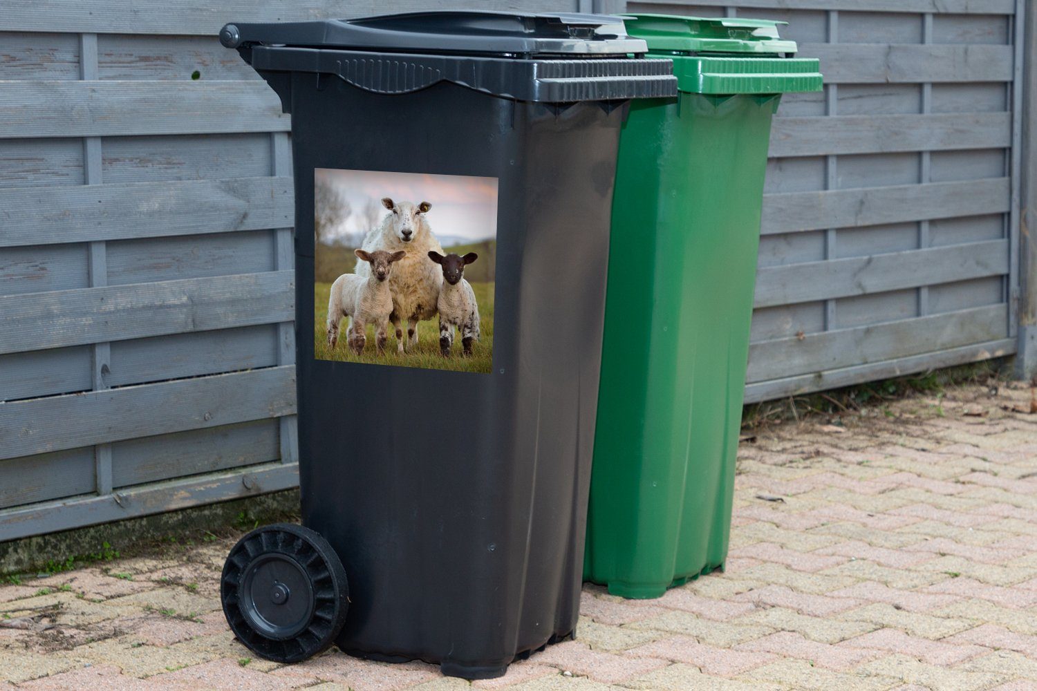 St), Sticker, - Mülltonne, MuchoWow Natur (1 Wandsticker Mülleimer-aufkleber, Weiß Schwarz Schafe Abfalbehälter - Container, -