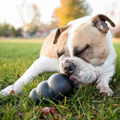 KONG Hunde-Ballschleuder Hundespielzeug Extreme Schwarz XL